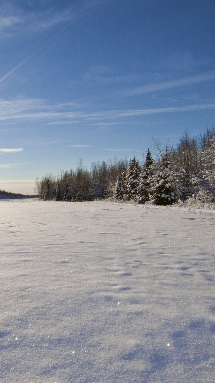 Snow Covered Field Under Blue Sky During Daytime. Wallpaper in 720x1280 Resolution