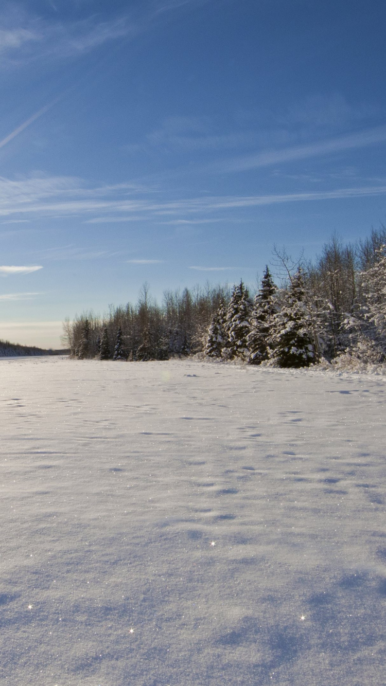 Snow Covered Field Under Blue Sky During Daytime. Wallpaper in 750x1334 Resolution