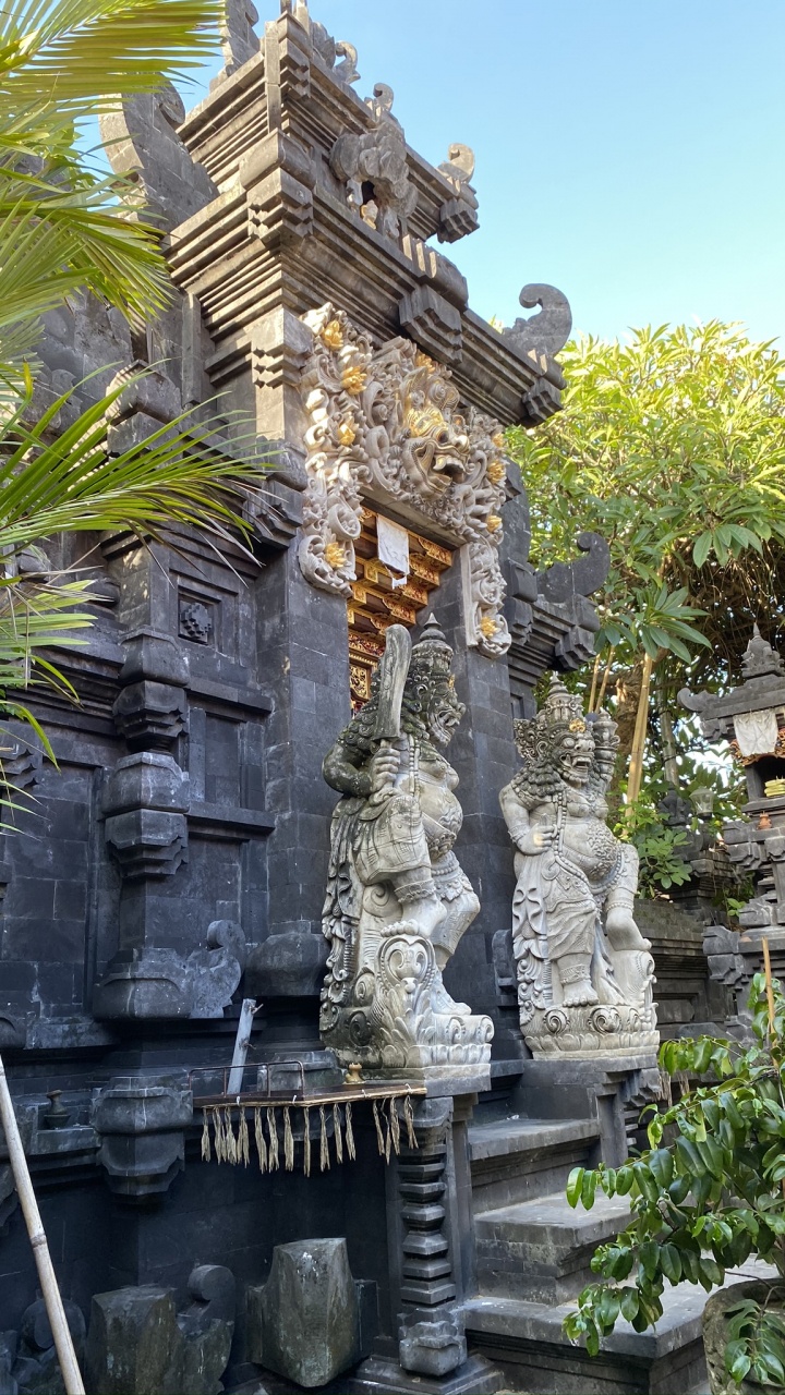 Bali, Tempel, Statue, Alte Geschichte, Rock. Wallpaper in 720x1280 Resolution