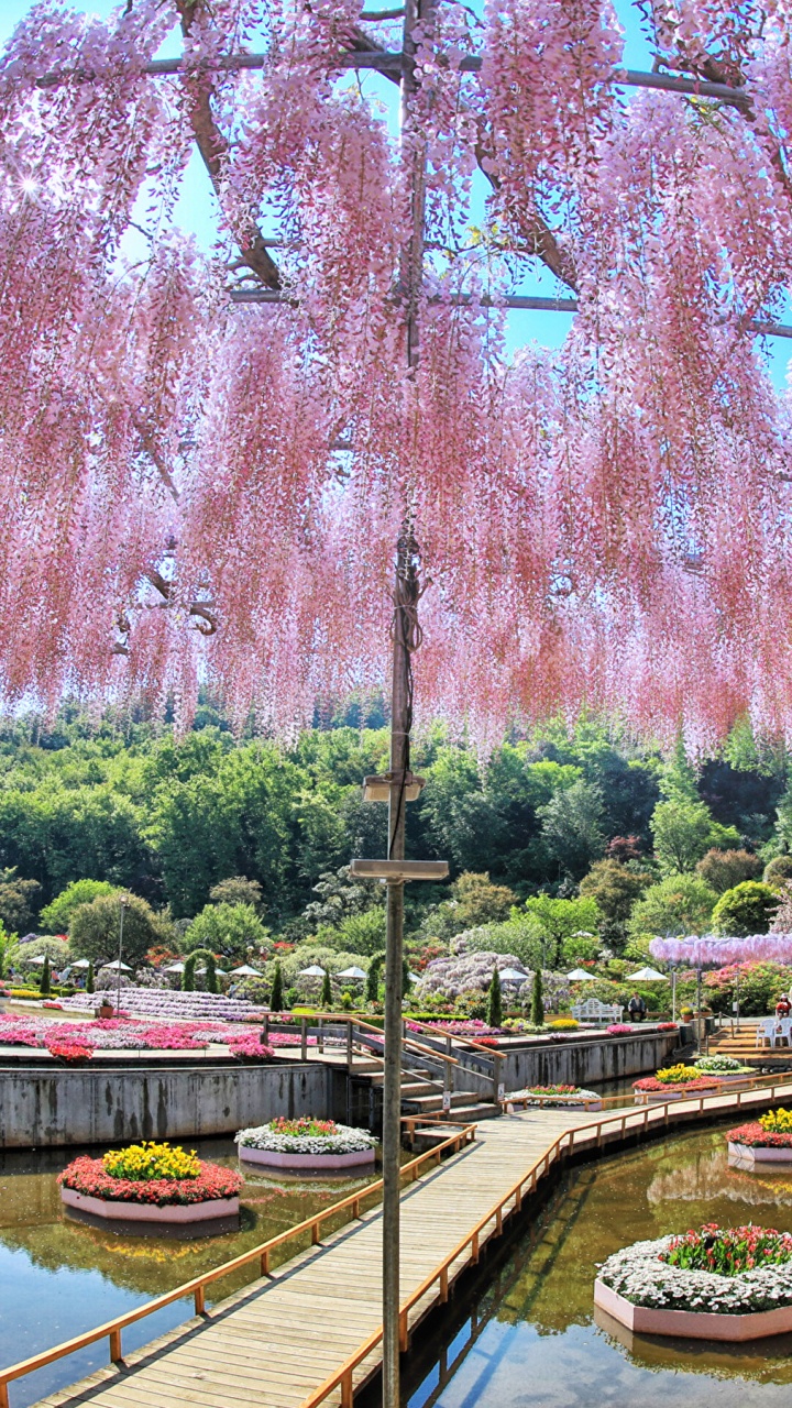 Bateau Brun Sur la Rivière Près Des Arbres Verts Pendant la Journée. Wallpaper in 720x1280 Resolution