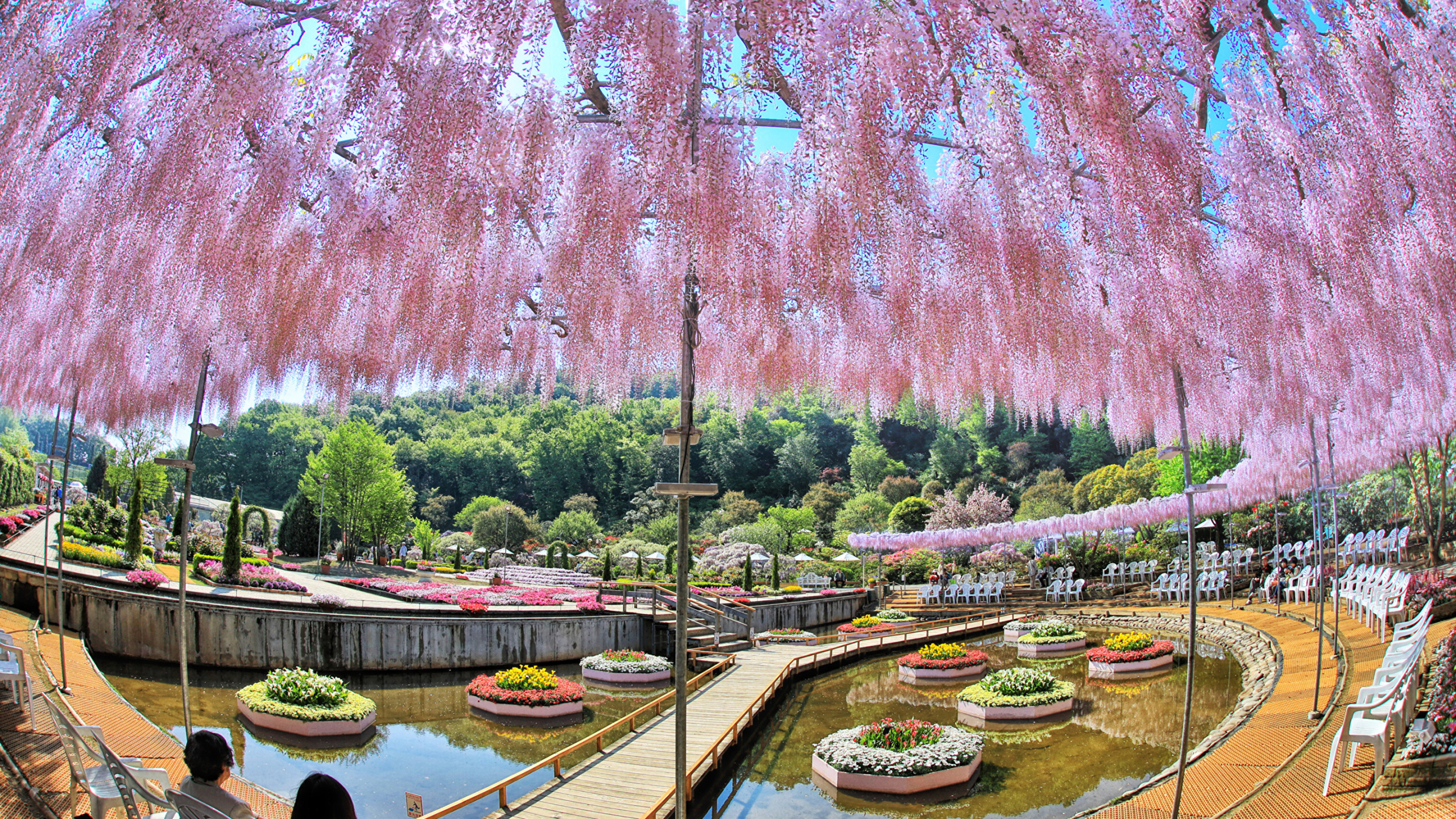 东京, 弹簧, 反射, 樱花, 工厂 壁纸 2560x1440 允许