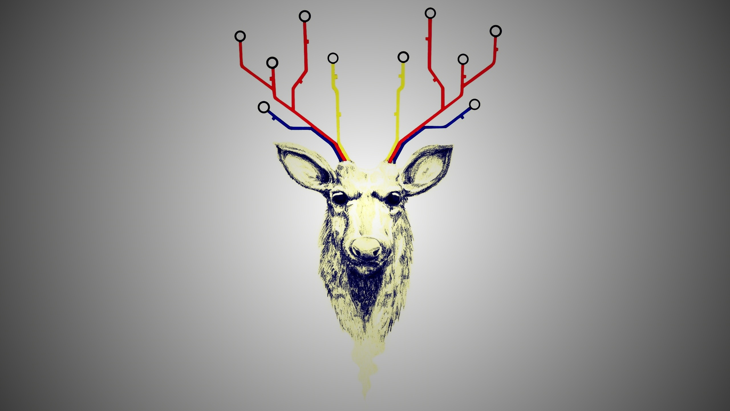 鹿角, 驯鹿, 图形设计, 喇叭 壁纸 2560x1440 允许