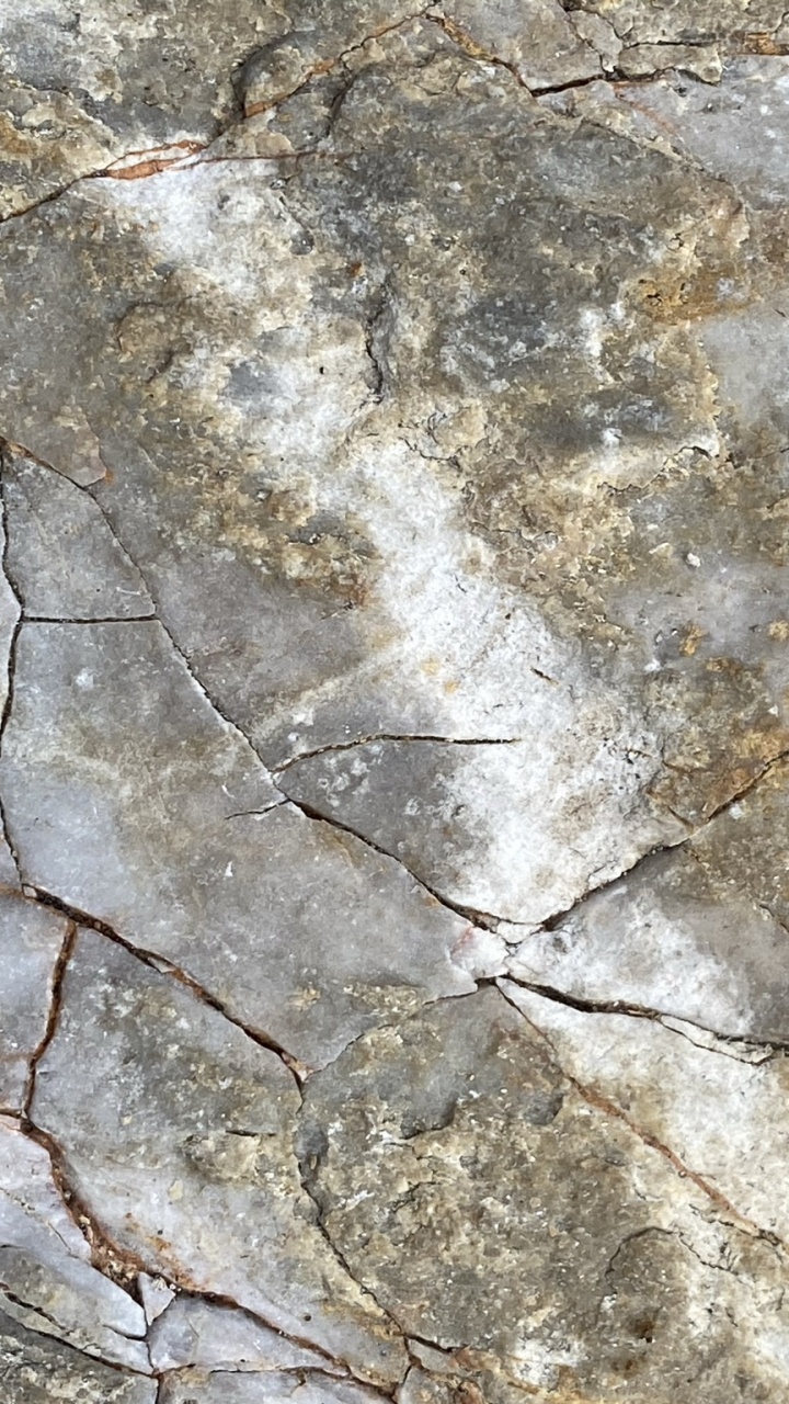 纹理, 火成岩, 棕色, 米色, 木 壁纸 720x1280 允许