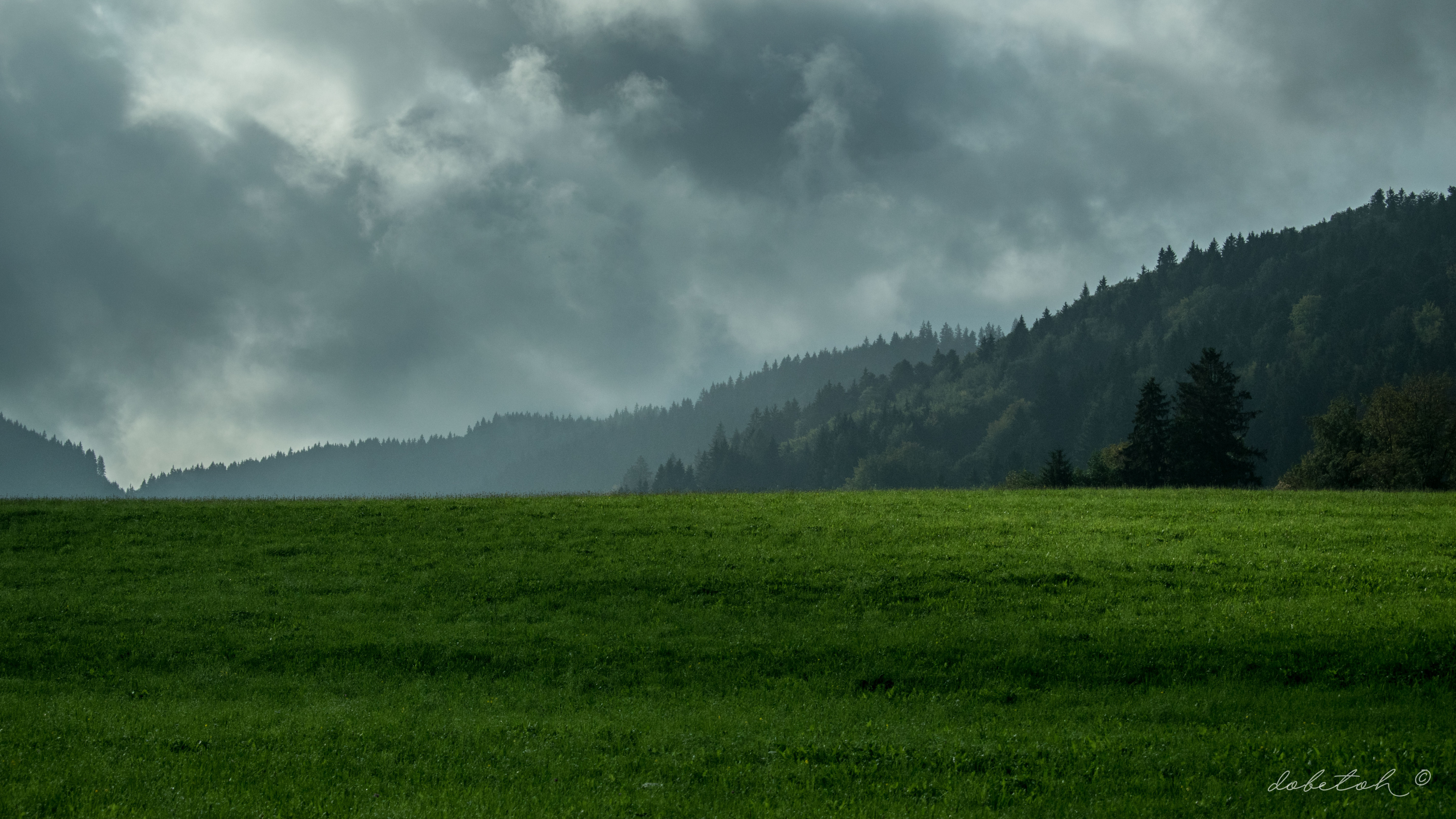 Végétation, Brouillard, Les Reliefs Montagneux, Paysage Naturel, Biome. Wallpaper in 3840x2160 Resolution