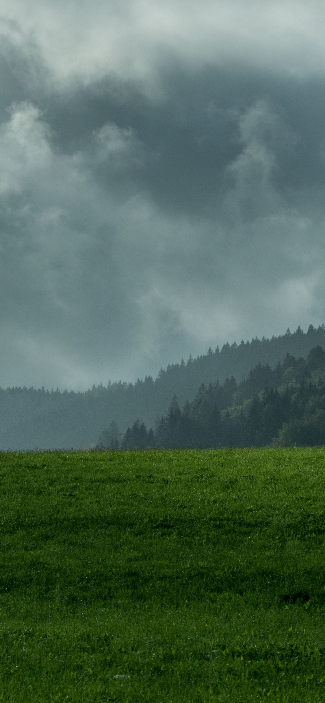 Vegetation, Fog, Mountainous Landforms, Natural Landscape, Biome. Wallpaper in 1125x2436 Resolution