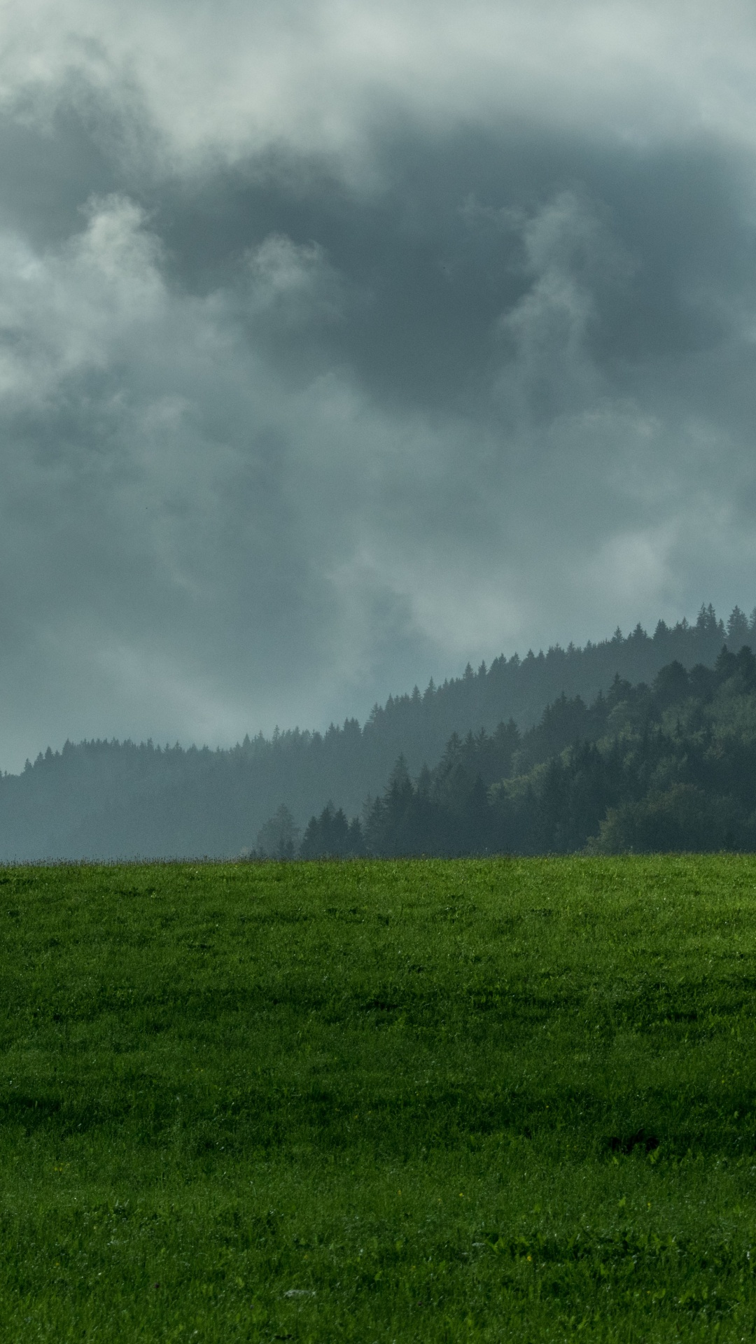 Vegetation, Nebel, Bergigen Landschaftsformen, Naturlandschaft, Biome. Wallpaper in 1080x1920 Resolution