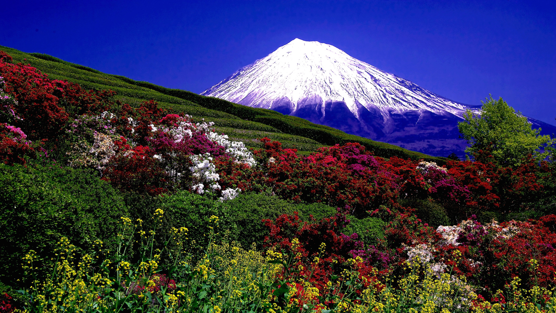 Green and White Mountain Under Blue Sky During Daytime. Wallpaper in 1920x1080 Resolution