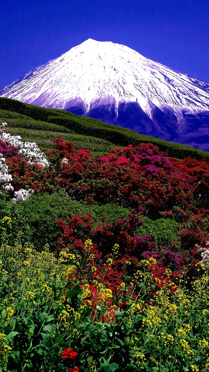 Green and White Mountain Under Blue Sky During Daytime. Wallpaper in 720x1280 Resolution