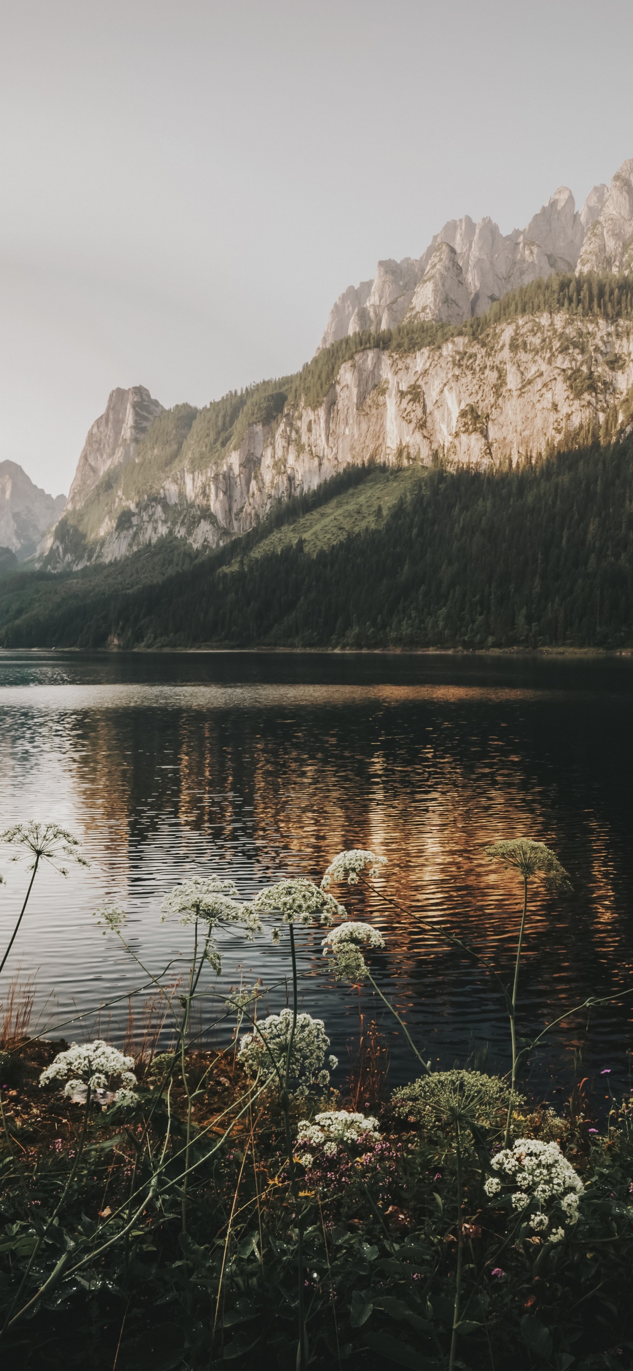 Reflexion, Gosauseen, Psychologie, Wasser, Cloud. Wallpaper in 1242x2688 Resolution