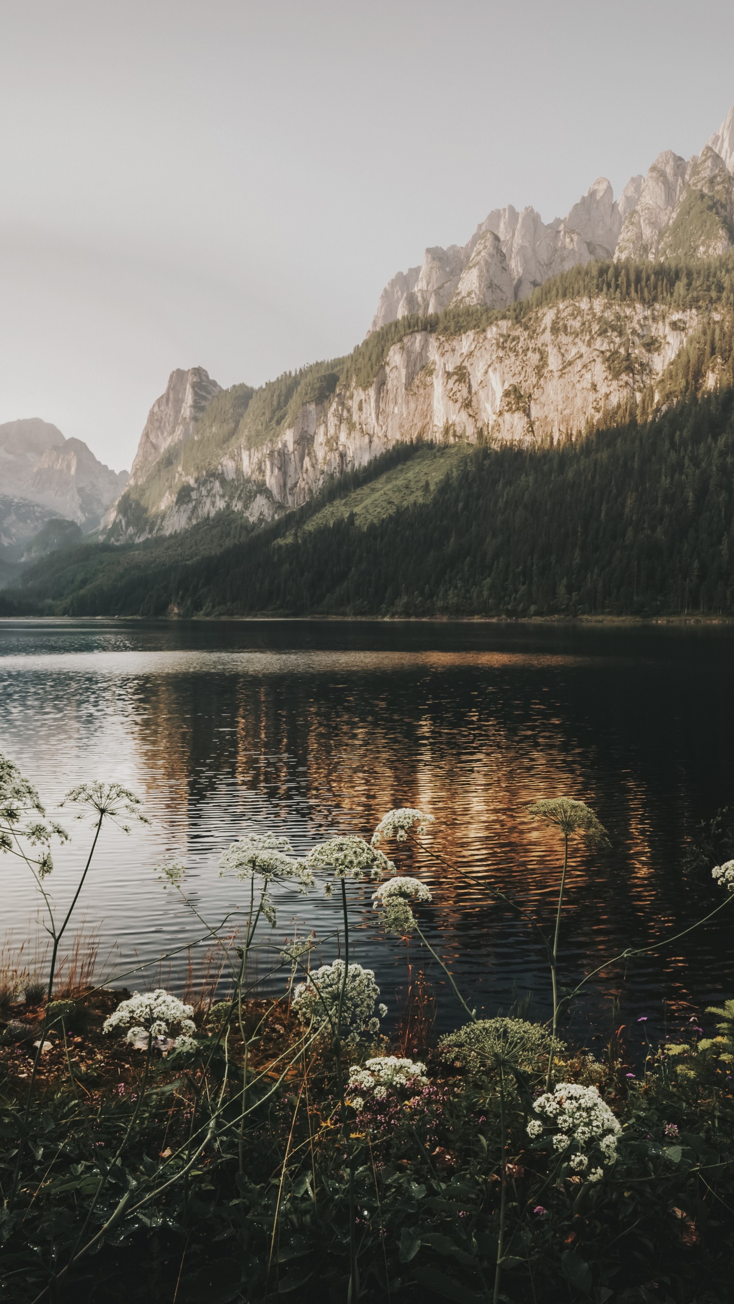 Reflexion, Gosauseen, Psychologie, Wasser, Cloud. Wallpaper in 1440x2560 Resolution