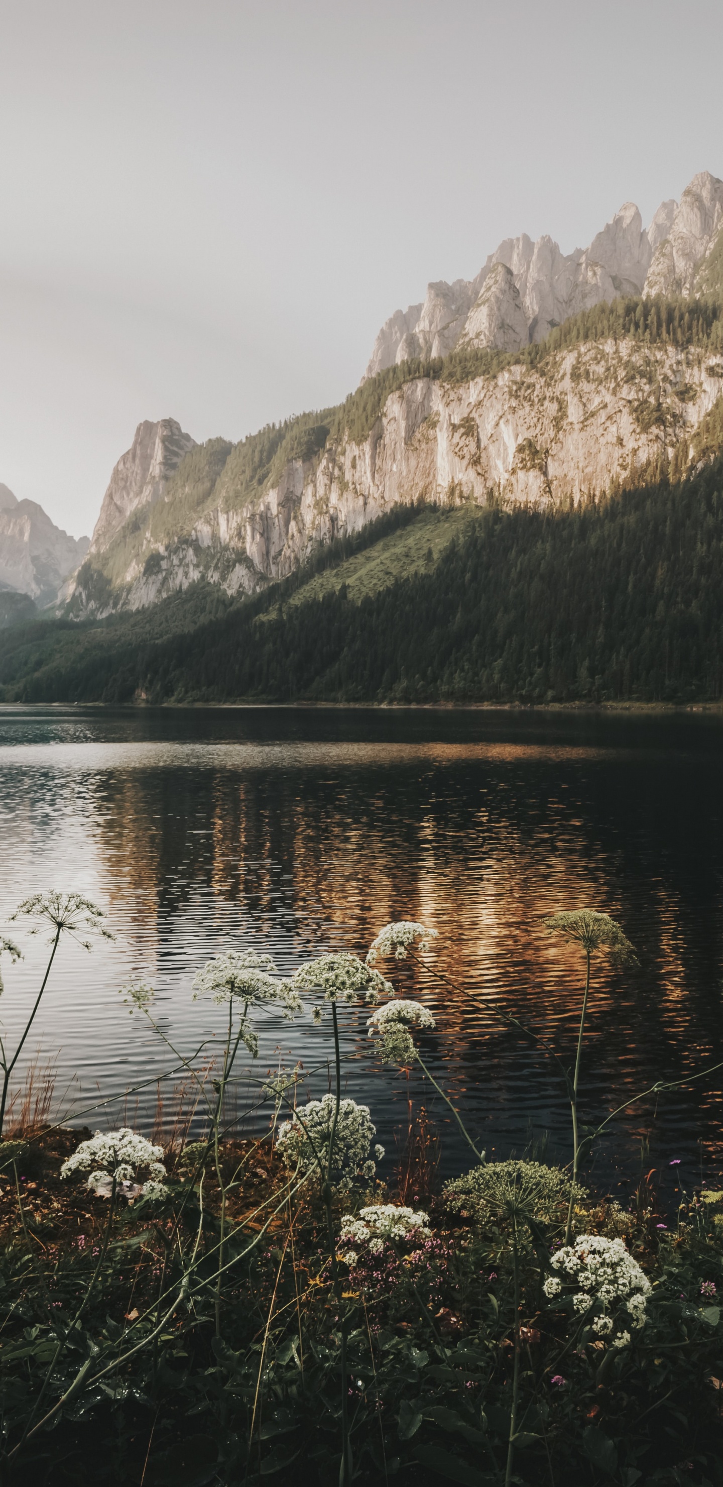 Reflexion, Gosauseen, Psychologie, Wasser, Cloud. Wallpaper in 1440x2960 Resolution