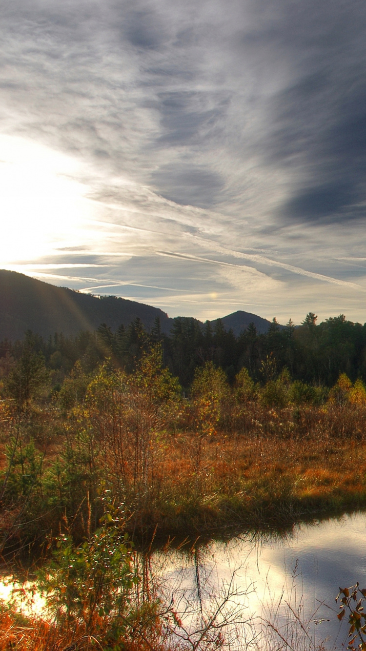 Árboles Verdes Junto al Lago Bajo un Cielo Nublado Durante el Día. Wallpaper in 750x1334 Resolution