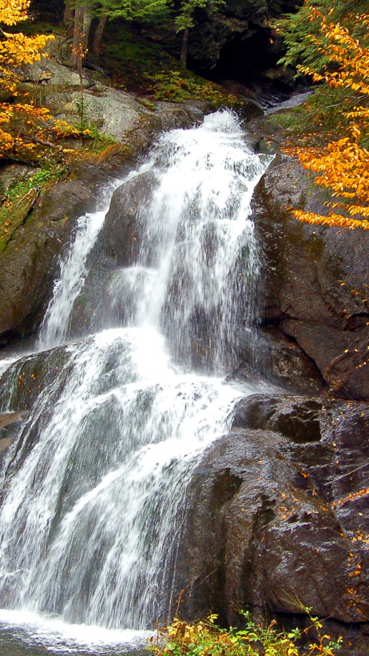 el Agua Cae en el Bosque. Wallpaper in 720x1280 Resolution