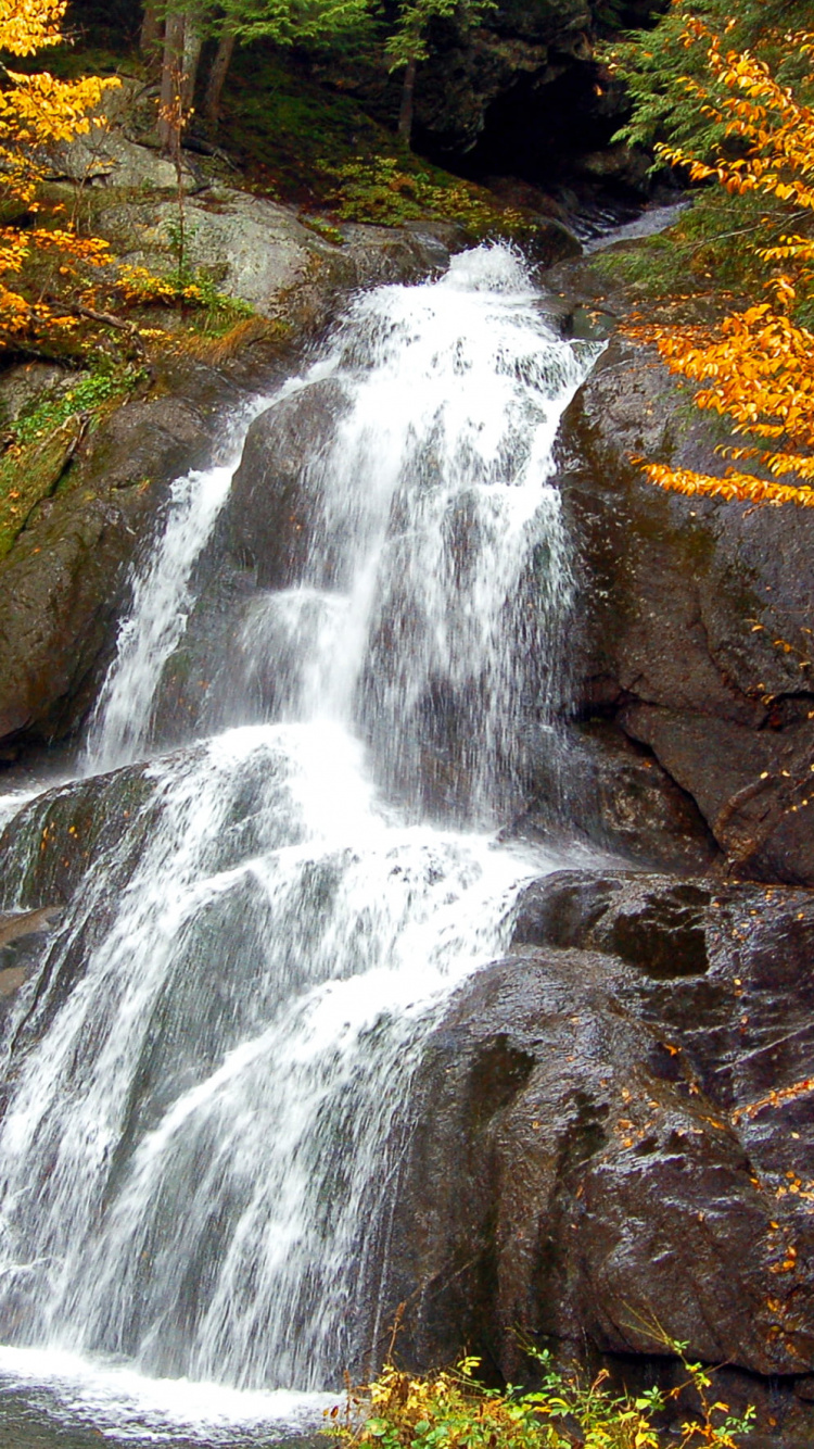 Water Falls in The Forest. Wallpaper in 750x1334 Resolution