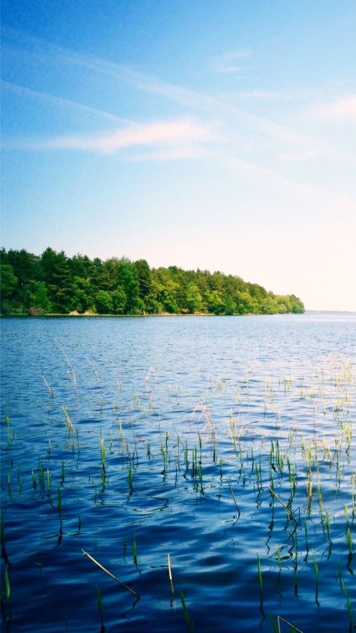 Green Grass on Body of Water During Daytime. Wallpaper in 720x1280 Resolution