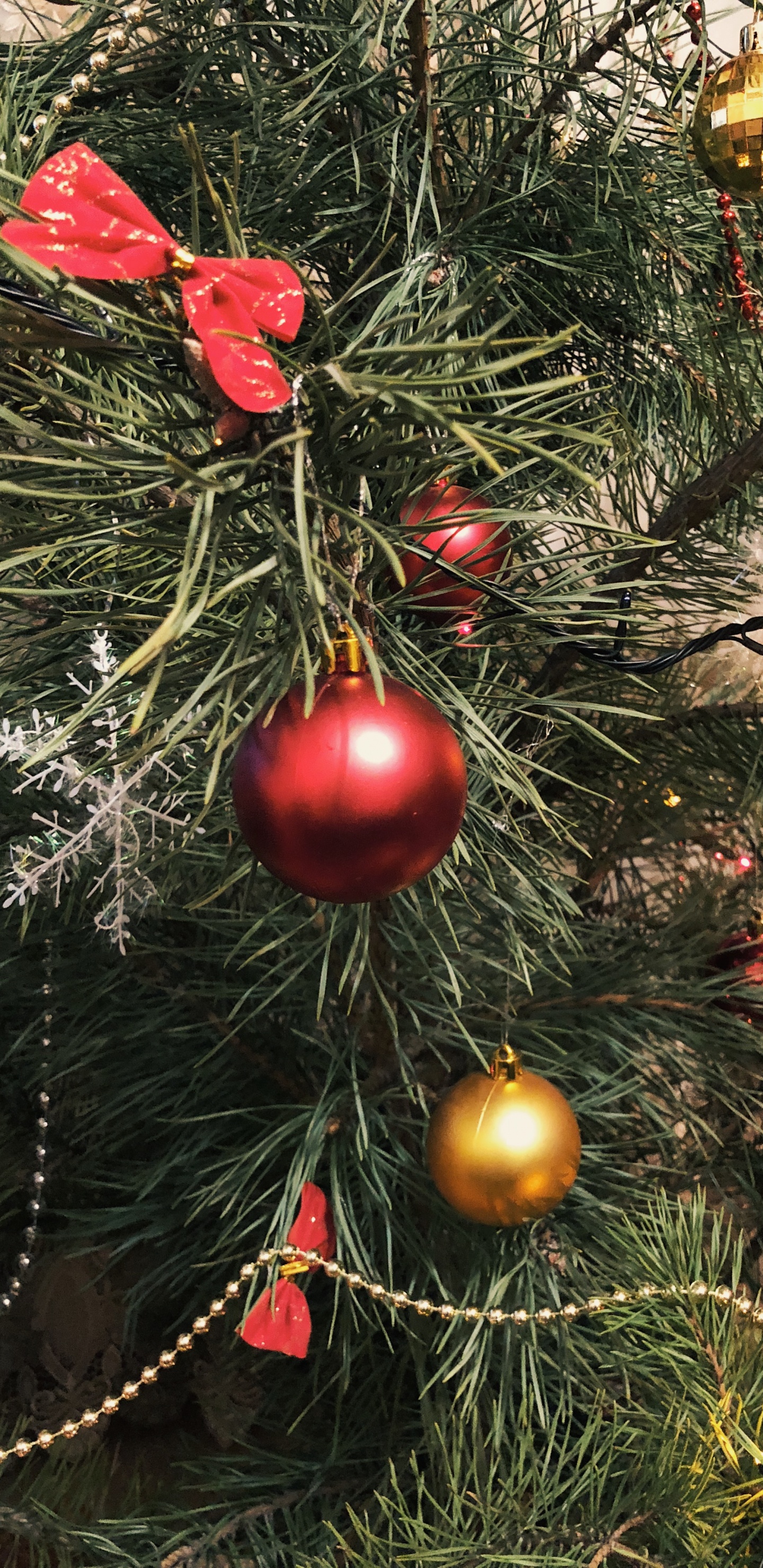 Christmas Ornament, Christmas Day, Christmas Tree, Fir, Christmas Decoration. Wallpaper in 1440x2960 Resolution