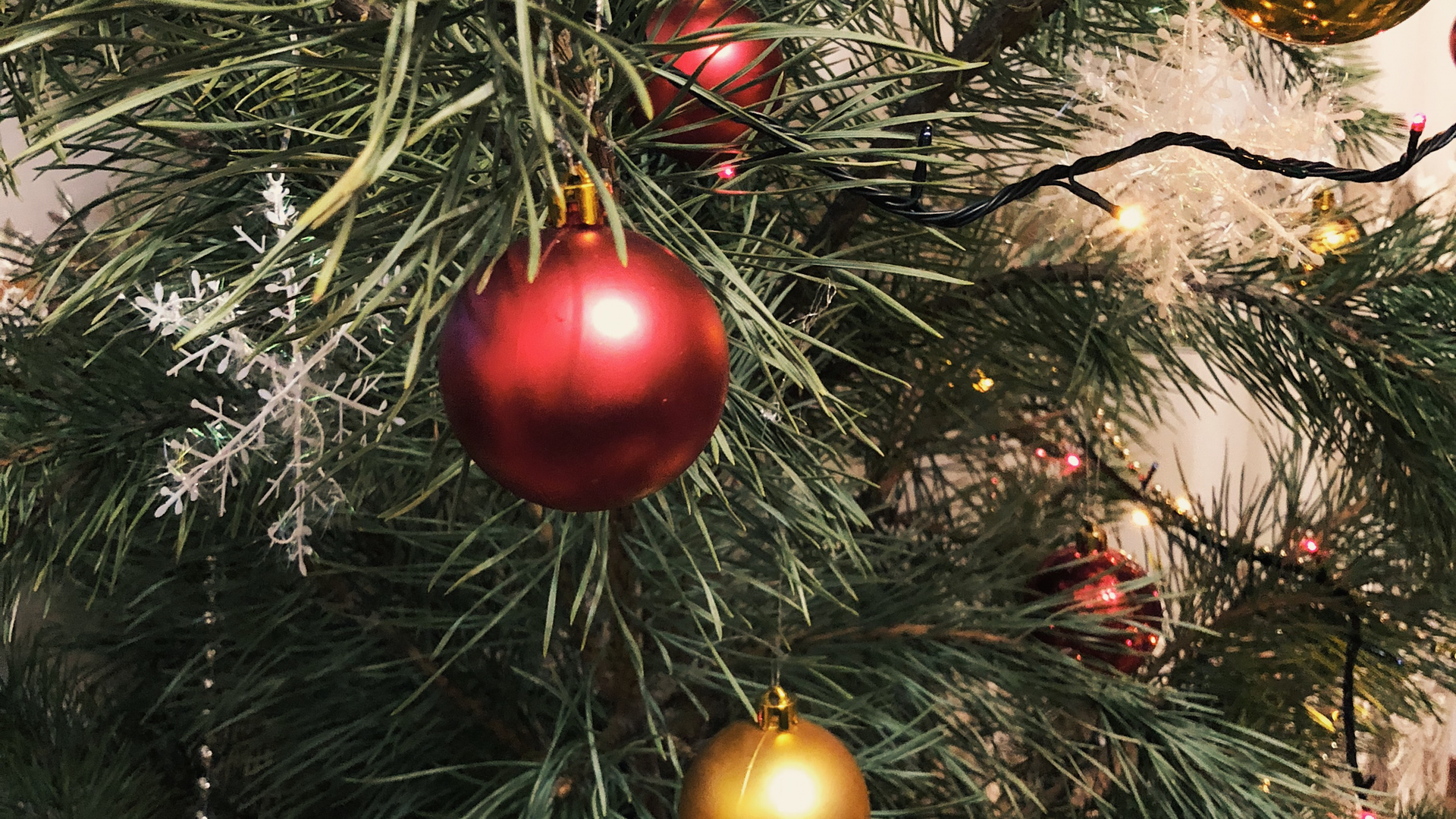 Christmas Ornament, Christmas Day, Christmas Tree, Fir, Christmas Decoration. Wallpaper in 2560x1440 Resolution