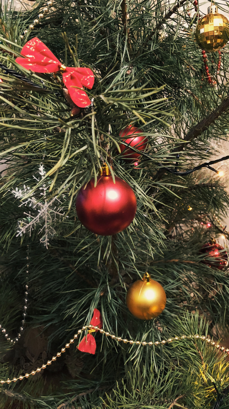 Christmas Ornament, Christmas Day, Christmas Tree, Fir, Christmas Decoration. Wallpaper in 750x1334 Resolution