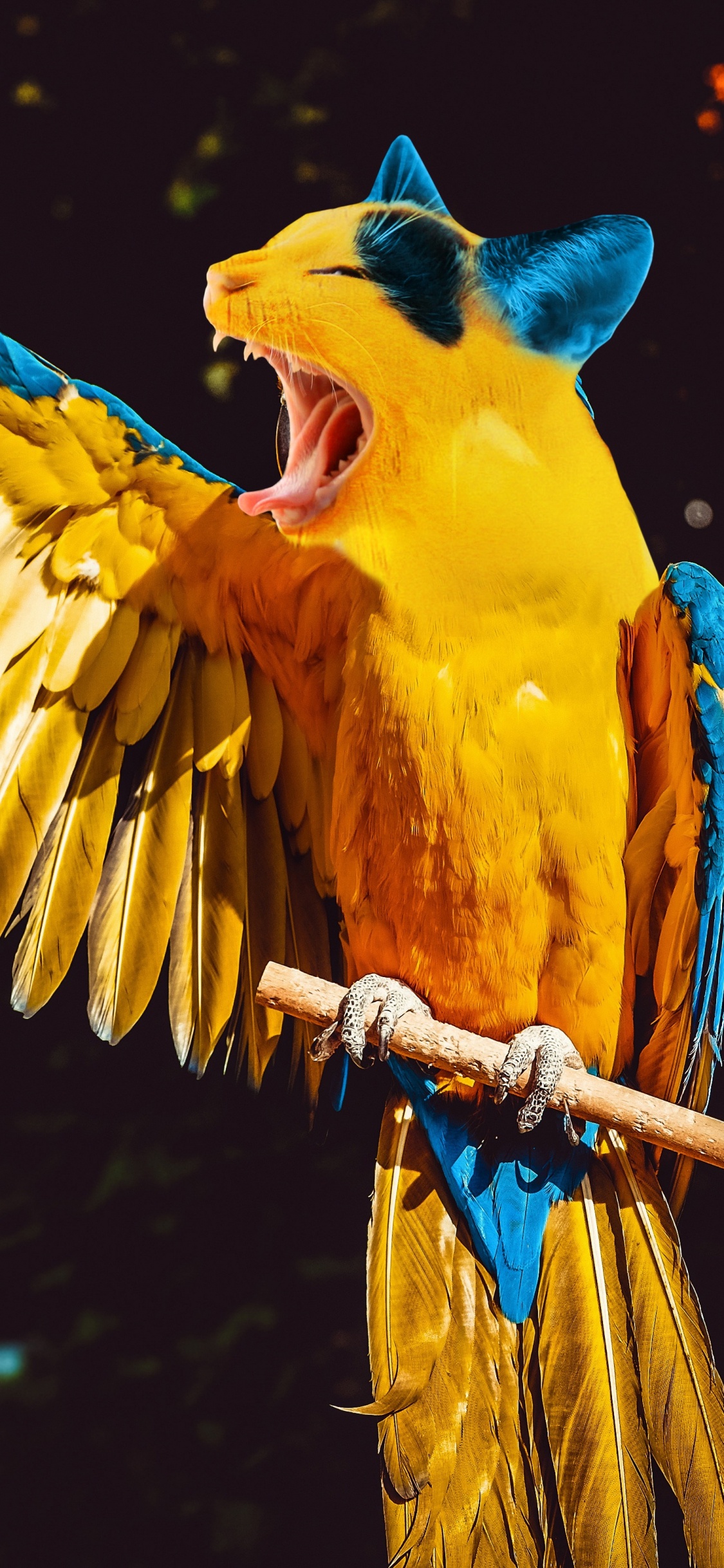 Gelber Blauer Und Oranger Papagei. Wallpaper in 1125x2436 Resolution