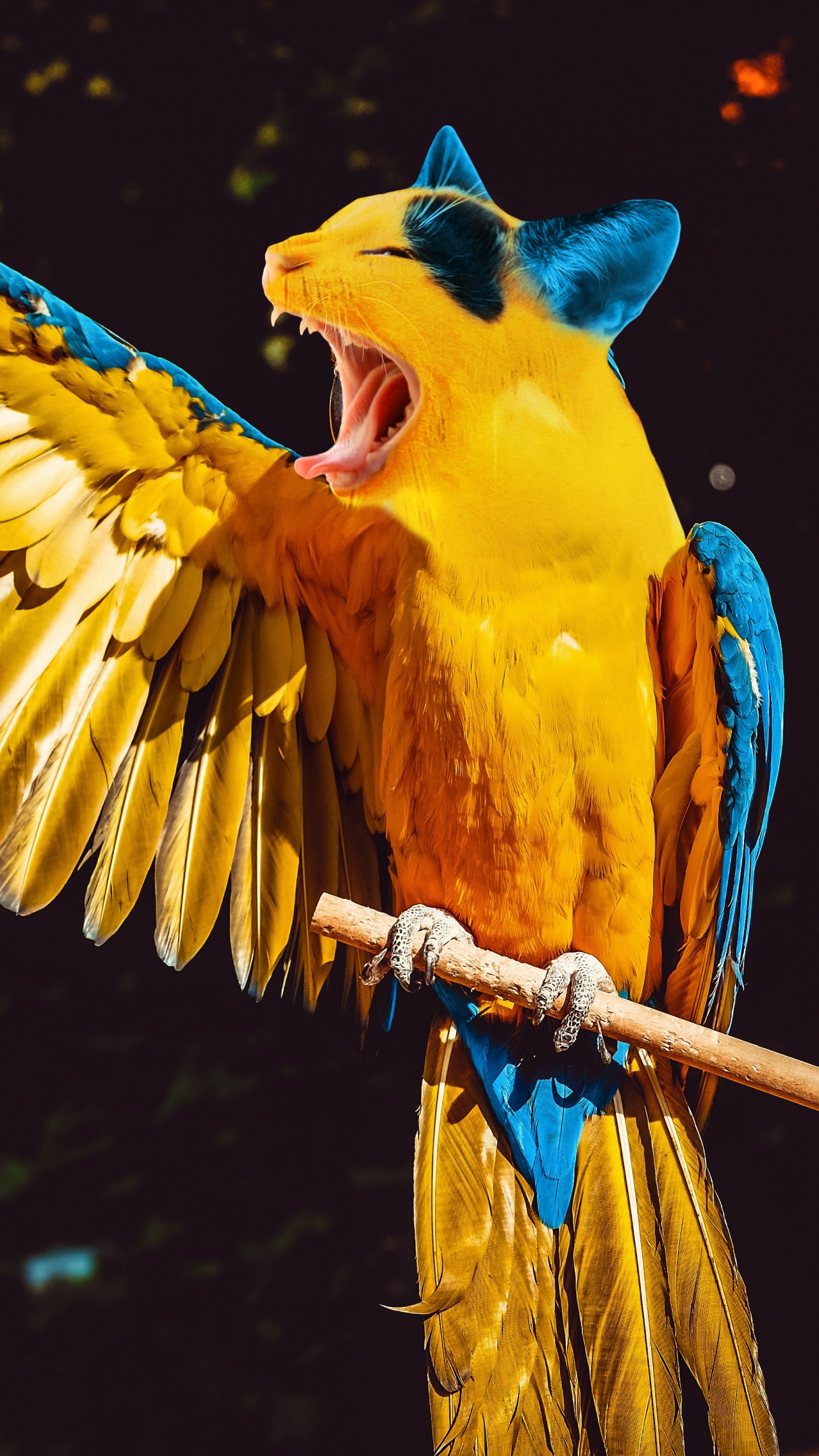 Gelber Blauer Und Oranger Papagei. Wallpaper in 1440x2560 Resolution