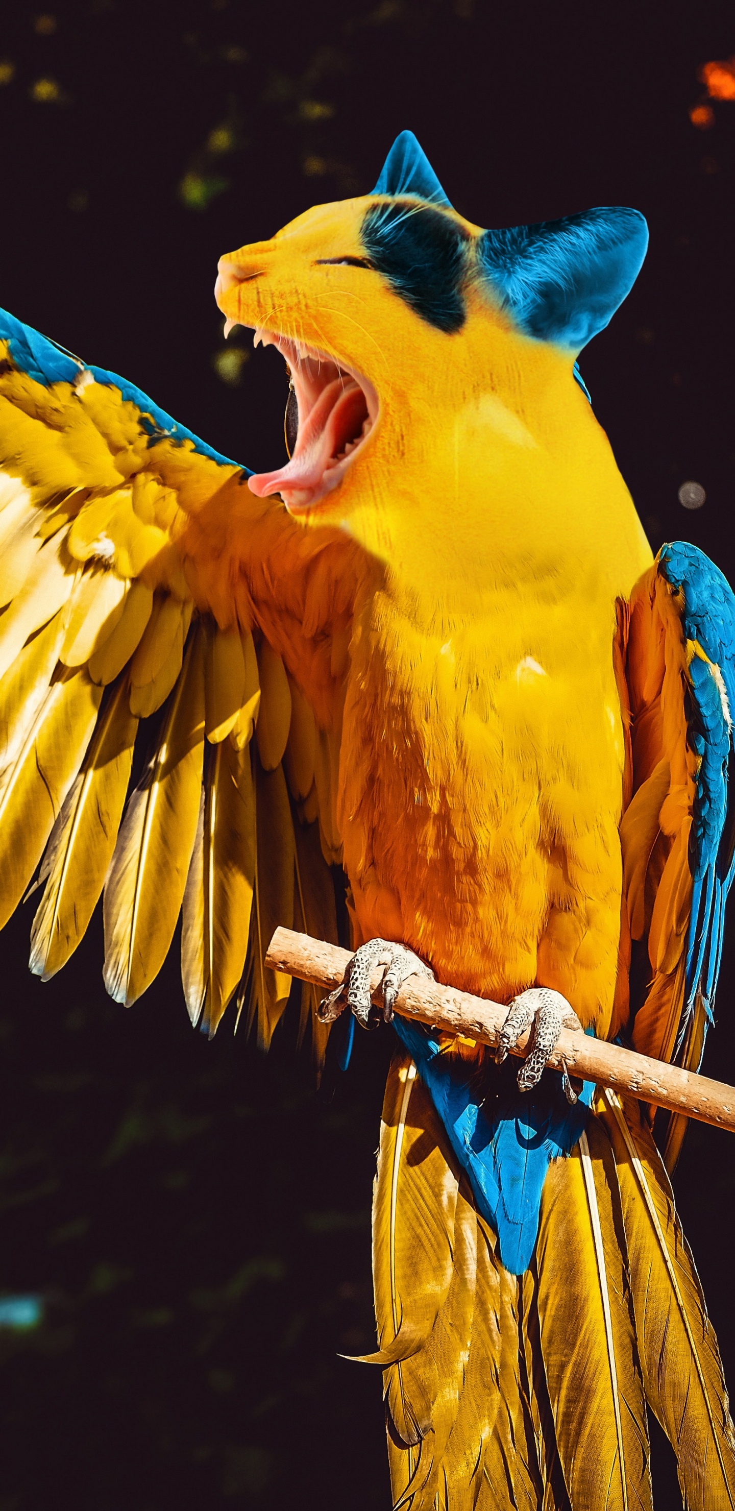 Gelber Blauer Und Oranger Papagei. Wallpaper in 1440x2960 Resolution