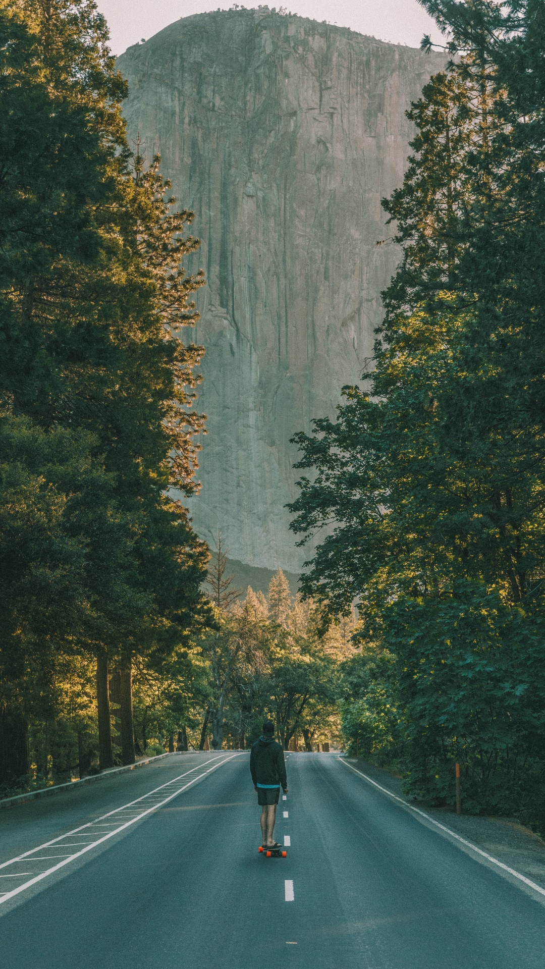 Schwarze Asphaltstraße Zwischen Grünen Bäumen Tagsüber. Wallpaper in 1080x1920 Resolution