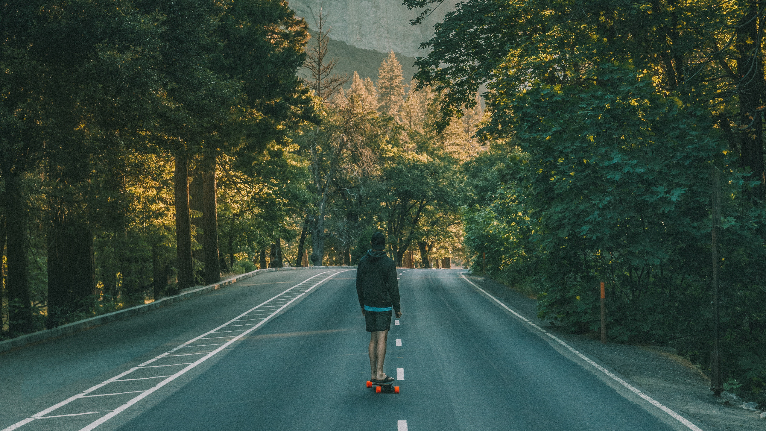 绿色的, 生物群落, 性质, 自然环境, 天空 壁纸 2560x1440 允许