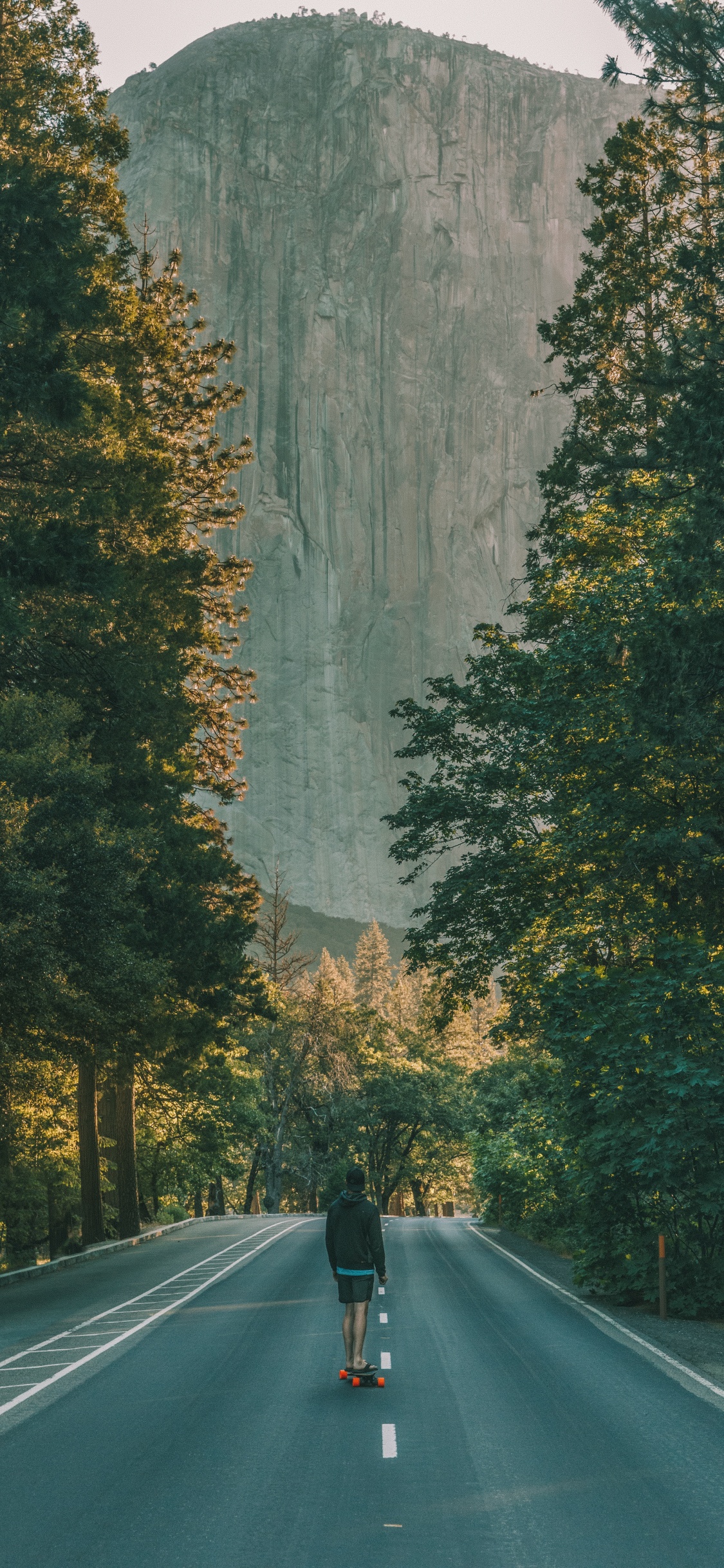 Route Goudronnée Noire Entre Les Arbres Verts Pendant la Journée. Wallpaper in 1125x2436 Resolution