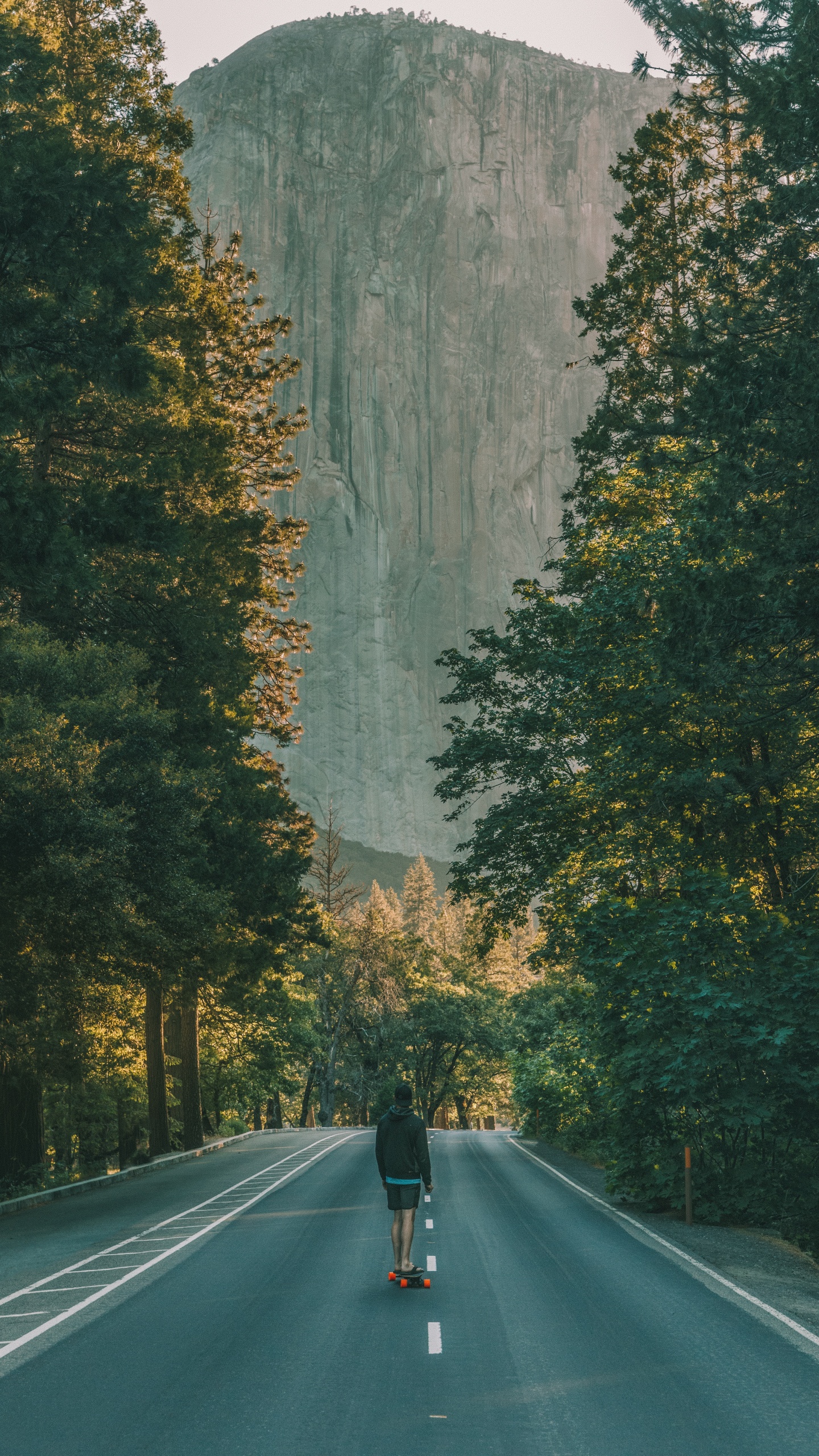 Carretera de Asfalto Negro Entre Árboles Verdes Durante el Día. Wallpaper in 1440x2560 Resolution