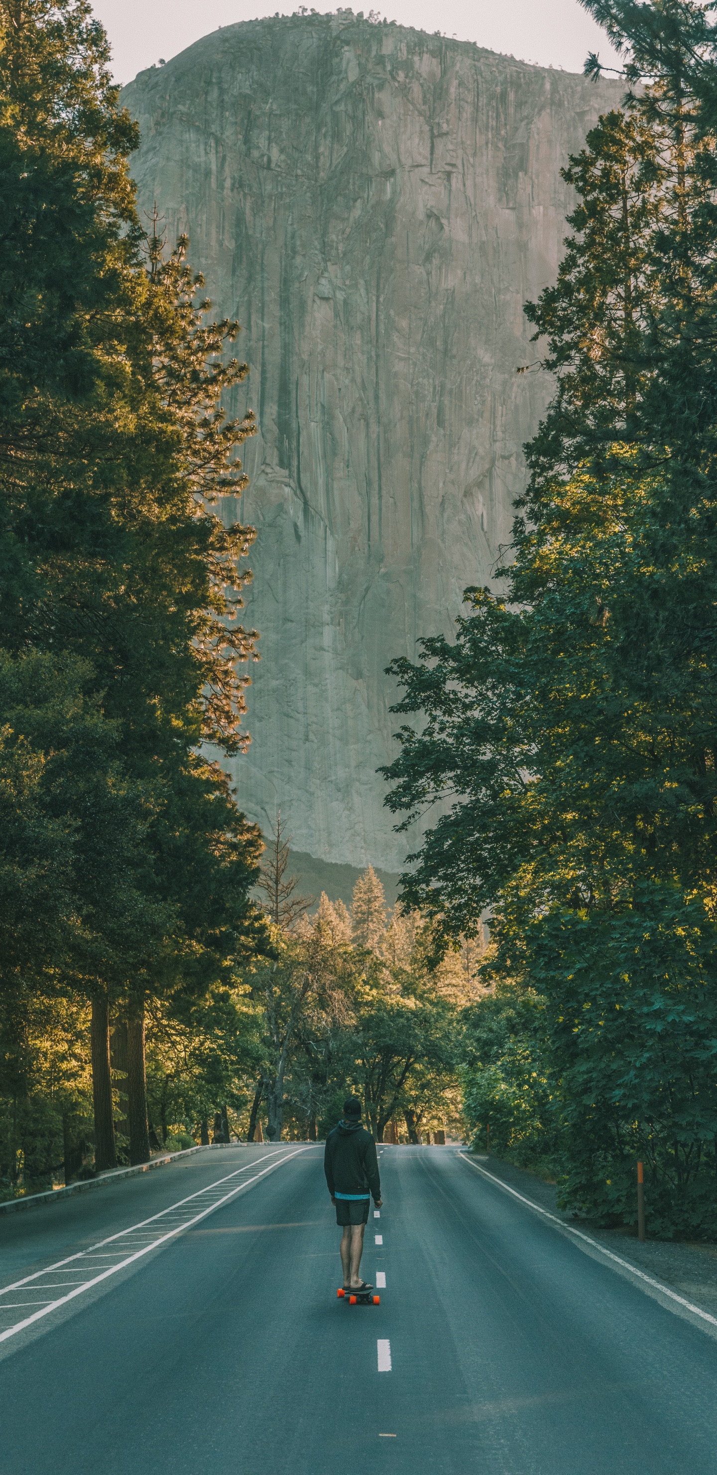 Carretera de Asfalto Negro Entre Árboles Verdes Durante el Día. Wallpaper in 1440x2960 Resolution