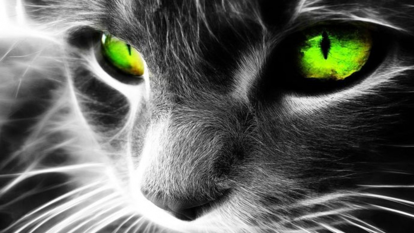 Green Eye With Green Eyes. Wallpaper in 1366x768 Resolution