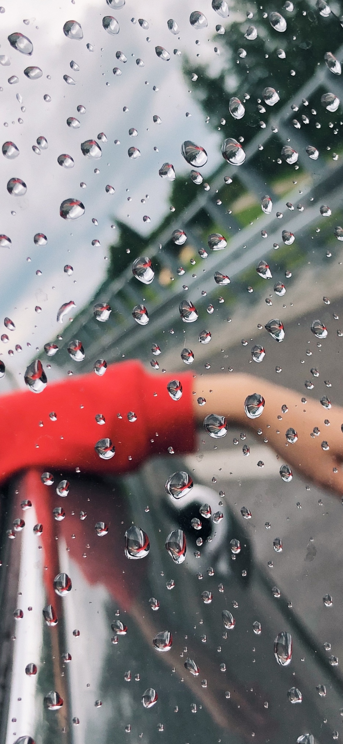 Pluie, Liquid, Fluide, Humidité, Crachin. Wallpaper in 1125x2436 Resolution