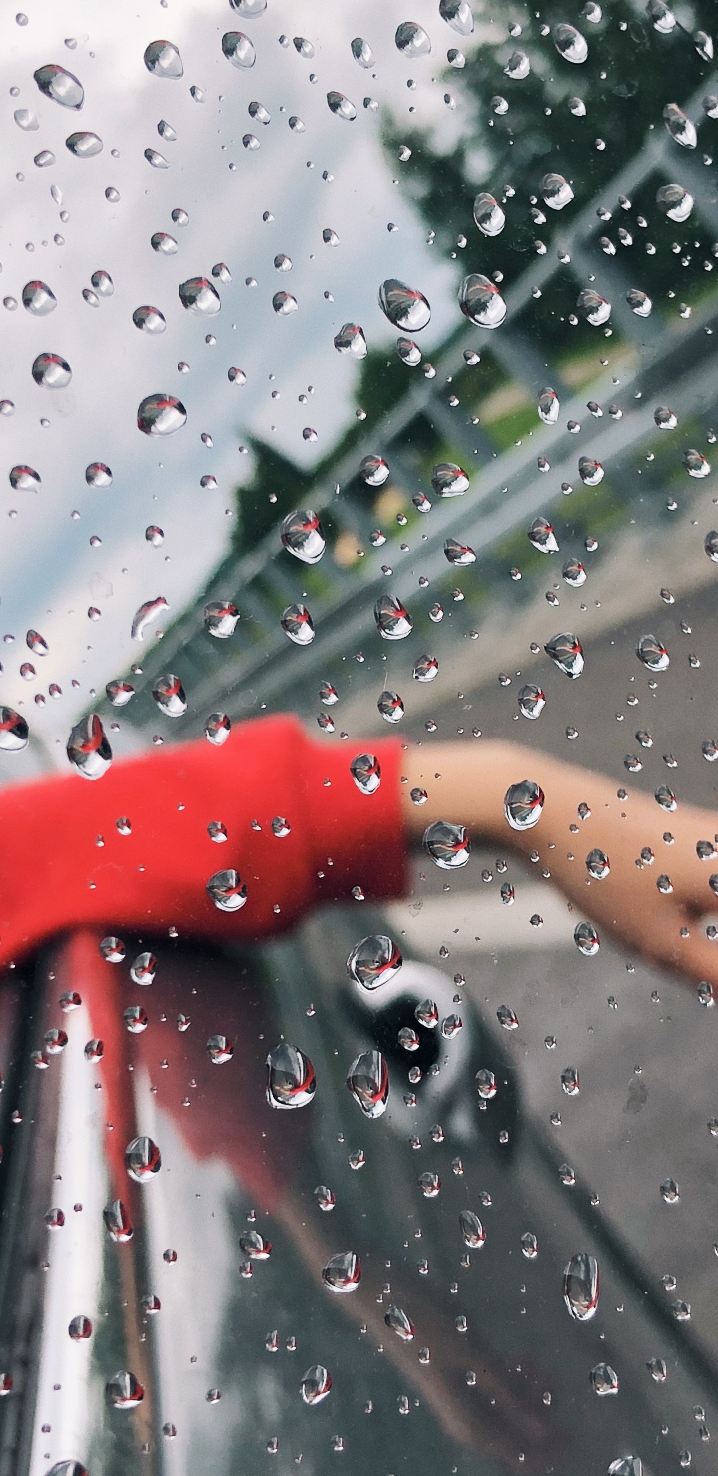 Pluie, Liquid, Fluide, Humidité, Crachin. Wallpaper in 1440x2960 Resolution