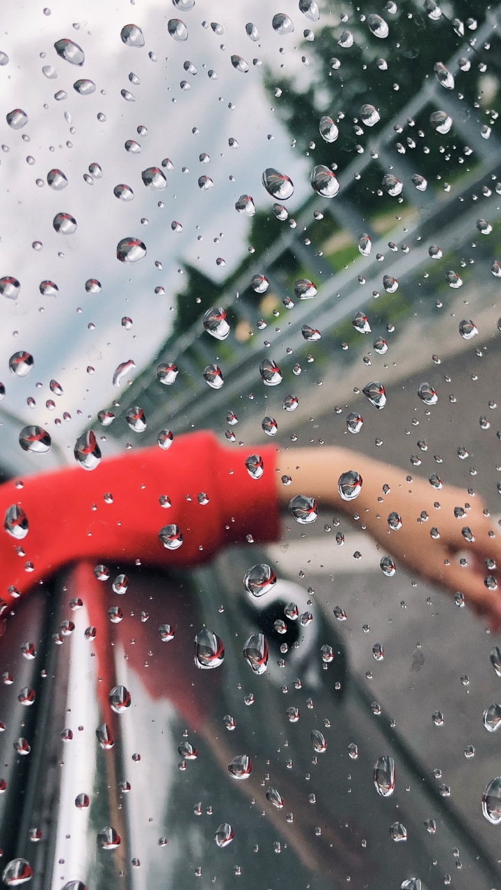 Pluie, Liquid, Fluide, Humidité, Crachin. Wallpaper in 720x1280 Resolution