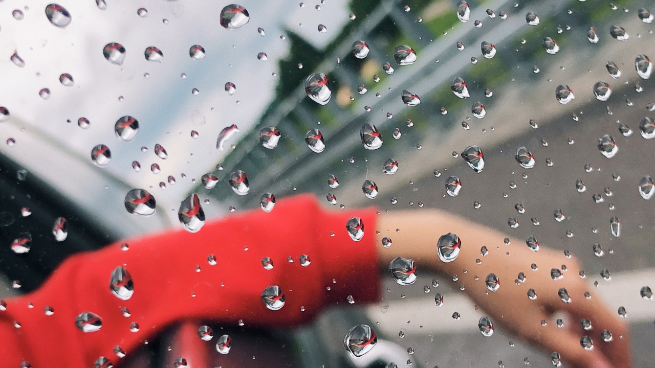 Regen, Flüssigkeit, Tropfen, Feuchtigkeit, Nieselregen. Wallpaper in 1280x720 Resolution