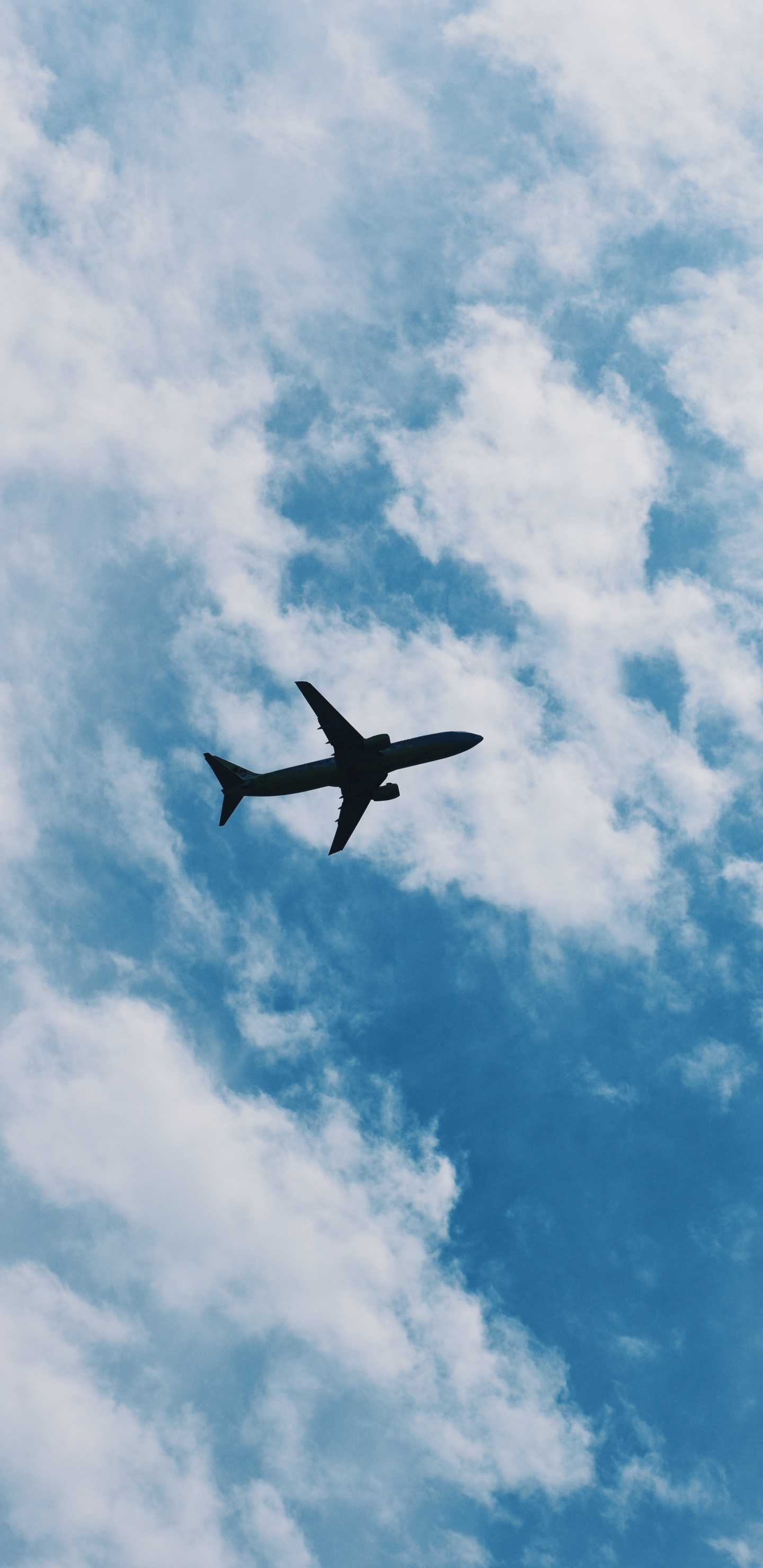 Avion Volant Dans le Ciel Pendant la Journée. Wallpaper in 1440x2960 Resolution