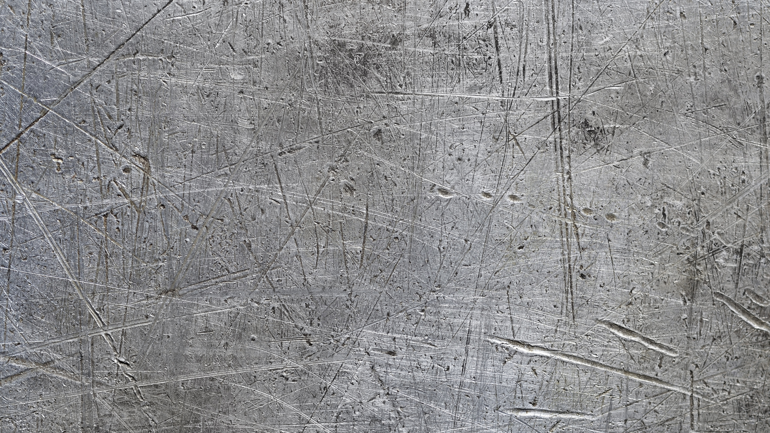 Planta de Hoja Blanca y Amarilla. Wallpaper in 2560x1440 Resolution