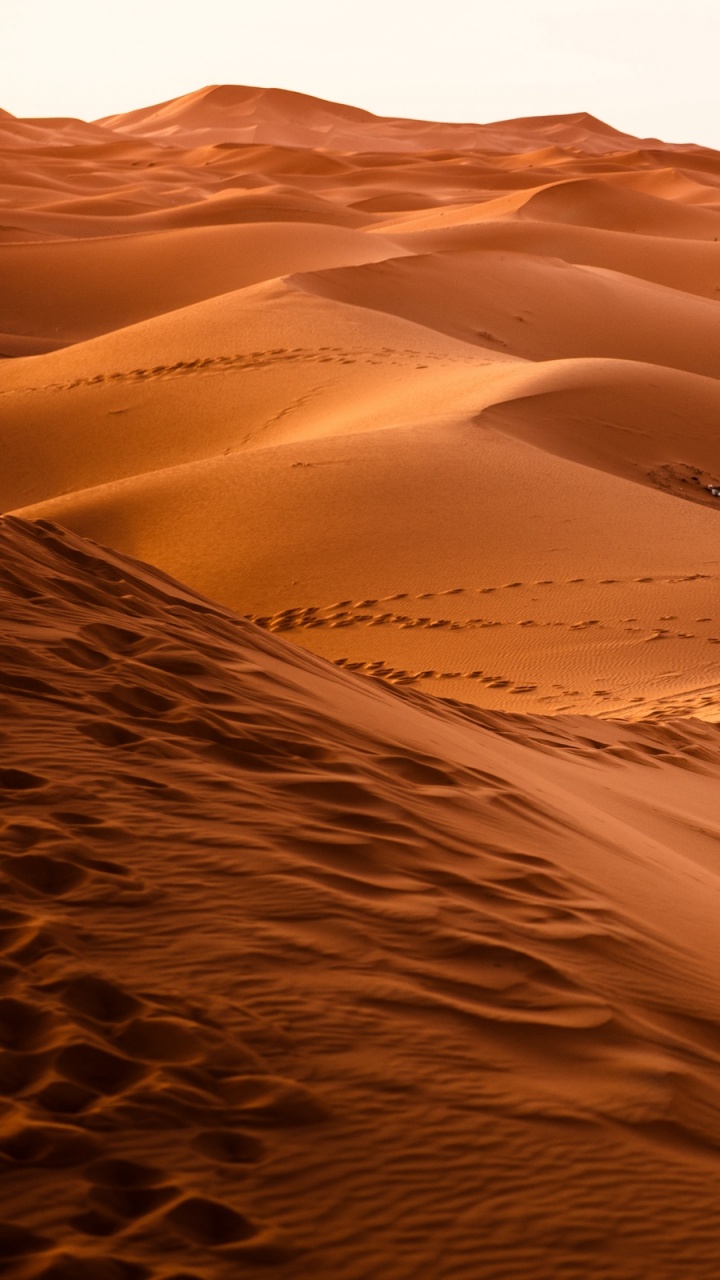 Dunes de Sable Brun Pendant la Journée. Wallpaper in 720x1280 Resolution