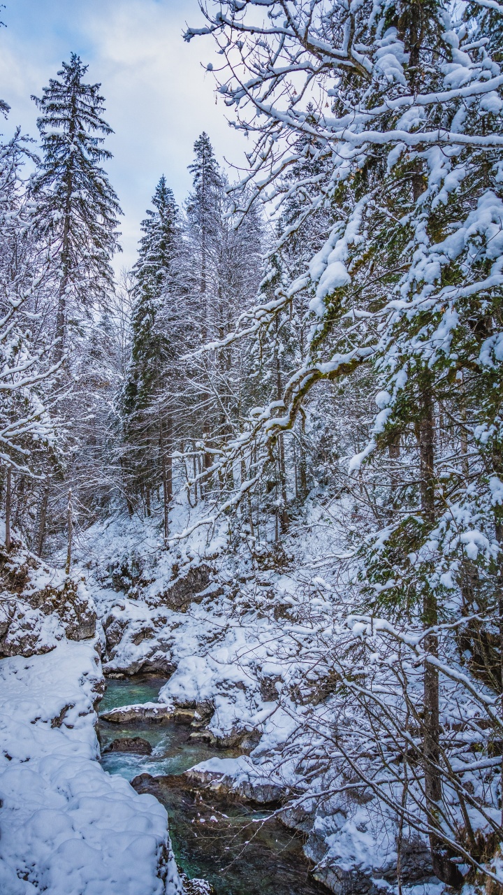 Schnee, Wasser, Cloud, Naturlandschaft, Baum. Wallpaper in 720x1280 Resolution