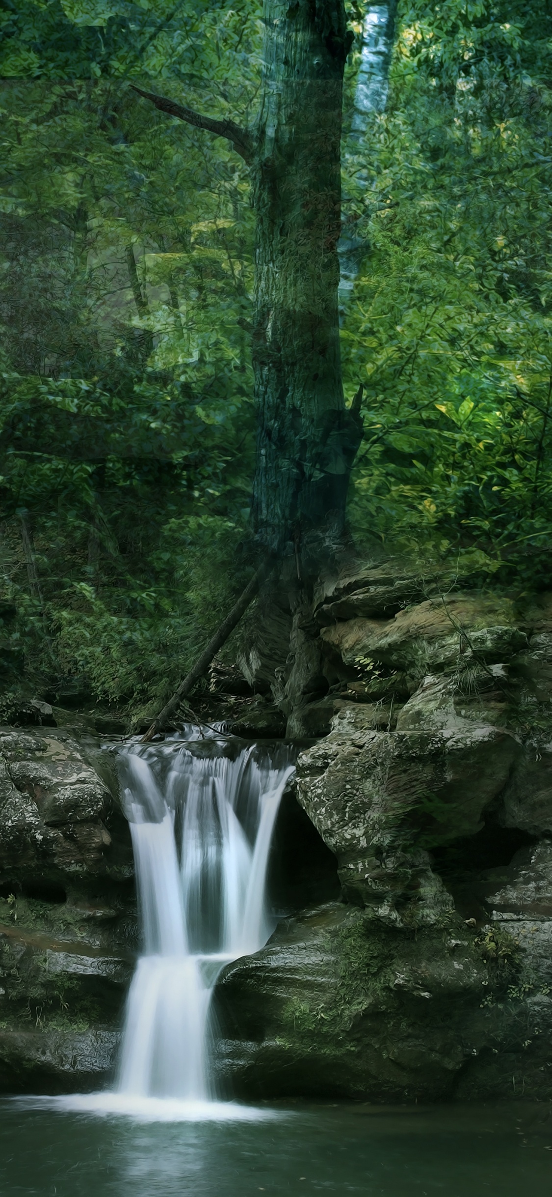 Musgo Verde Sobre Formación Rocosa Marrón Cerca de Cascadas Durante el Día. Wallpaper in 1125x2436 Resolution