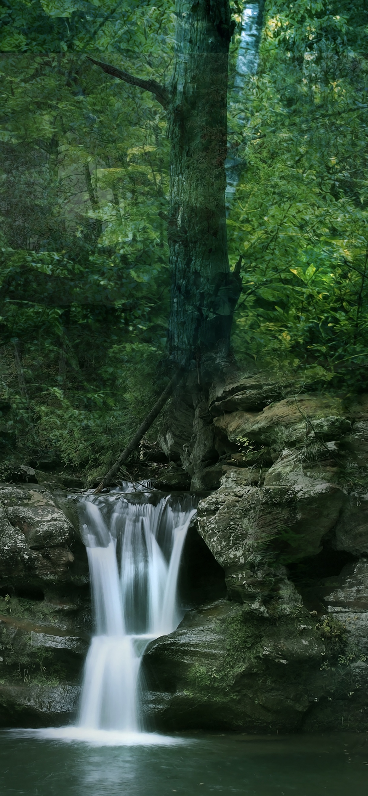 Musgo Verde Sobre Formación Rocosa Marrón Cerca de Cascadas Durante el Día. Wallpaper in 1242x2688 Resolution