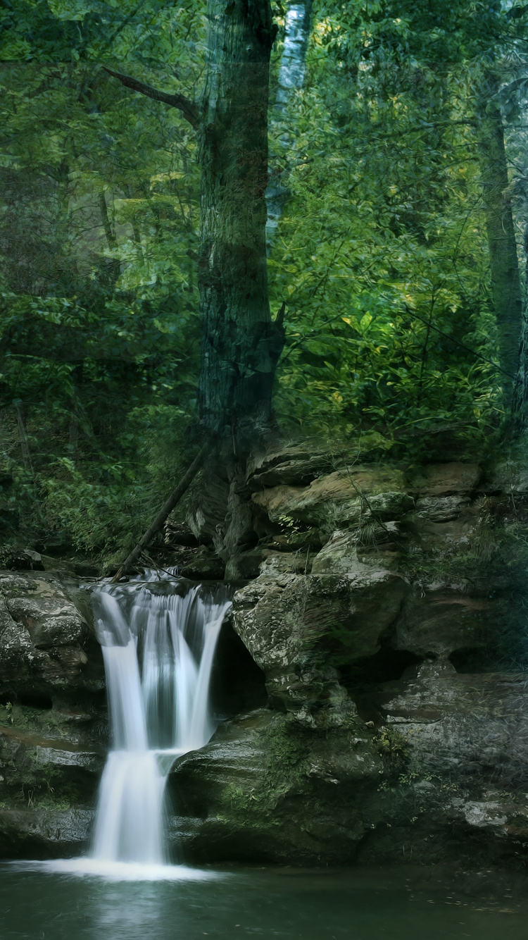 Musgo Verde Sobre Formación Rocosa Marrón Cerca de Cascadas Durante el Día. Wallpaper in 750x1334 Resolution