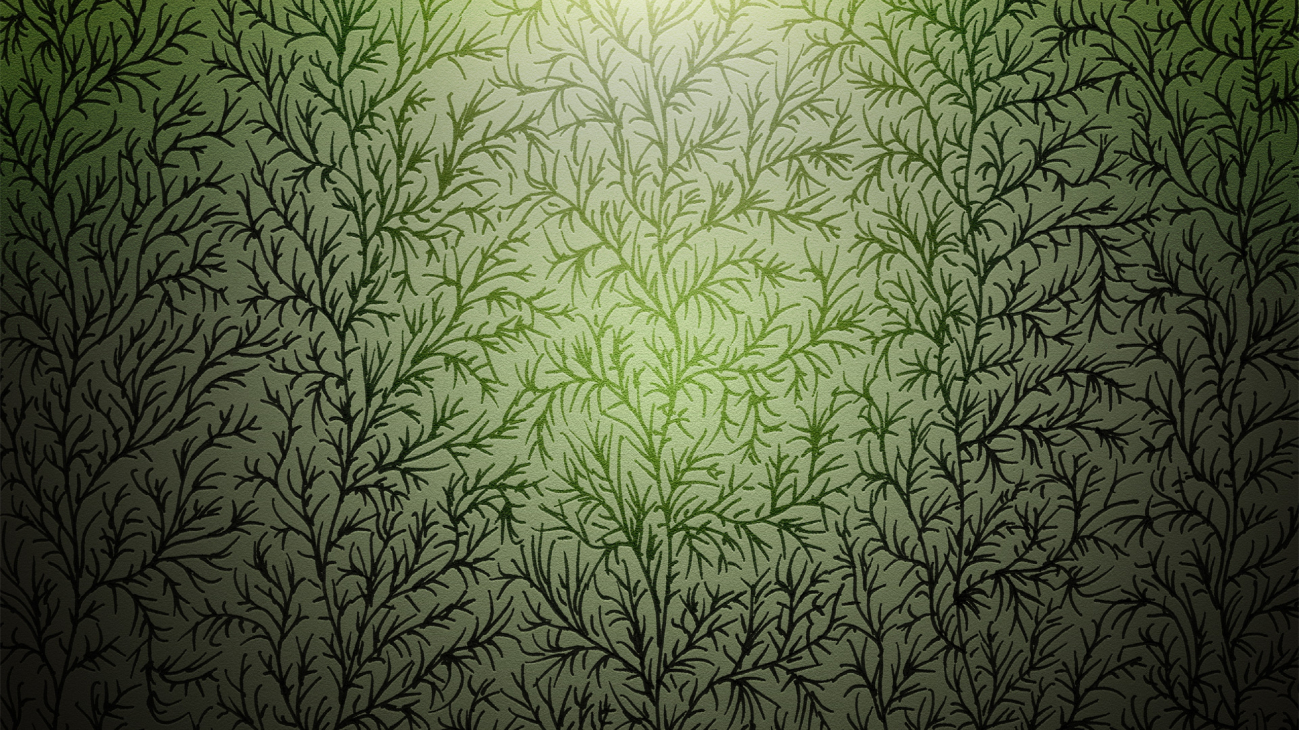 Stoff Mit Grünem Und Weißem Blattdruck. Wallpaper in 2560x1440 Resolution