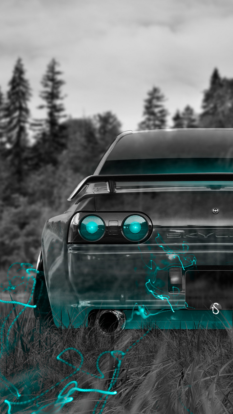 Schwarzes Auto Auf Brauner Wiese. Wallpaper in 750x1334 Resolution