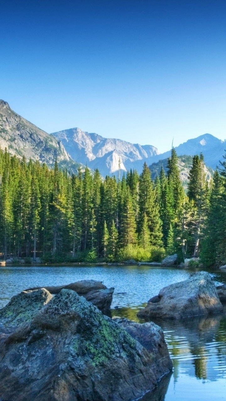 Green Pine Trees Near Lake During Daytime. Wallpaper in 720x1280 Resolution