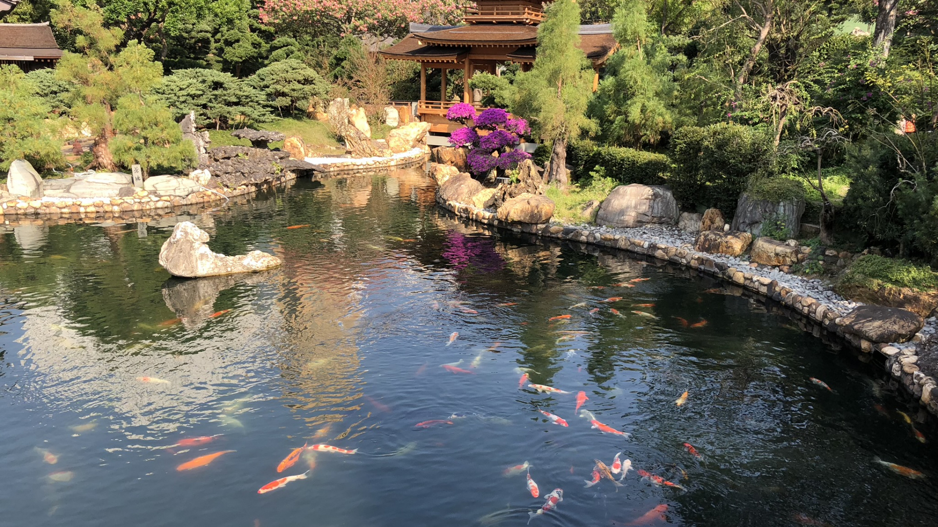 Reflection, Watercourse, Garden, Water Resources, Water Feature. Wallpaper in 1920x1080 Resolution