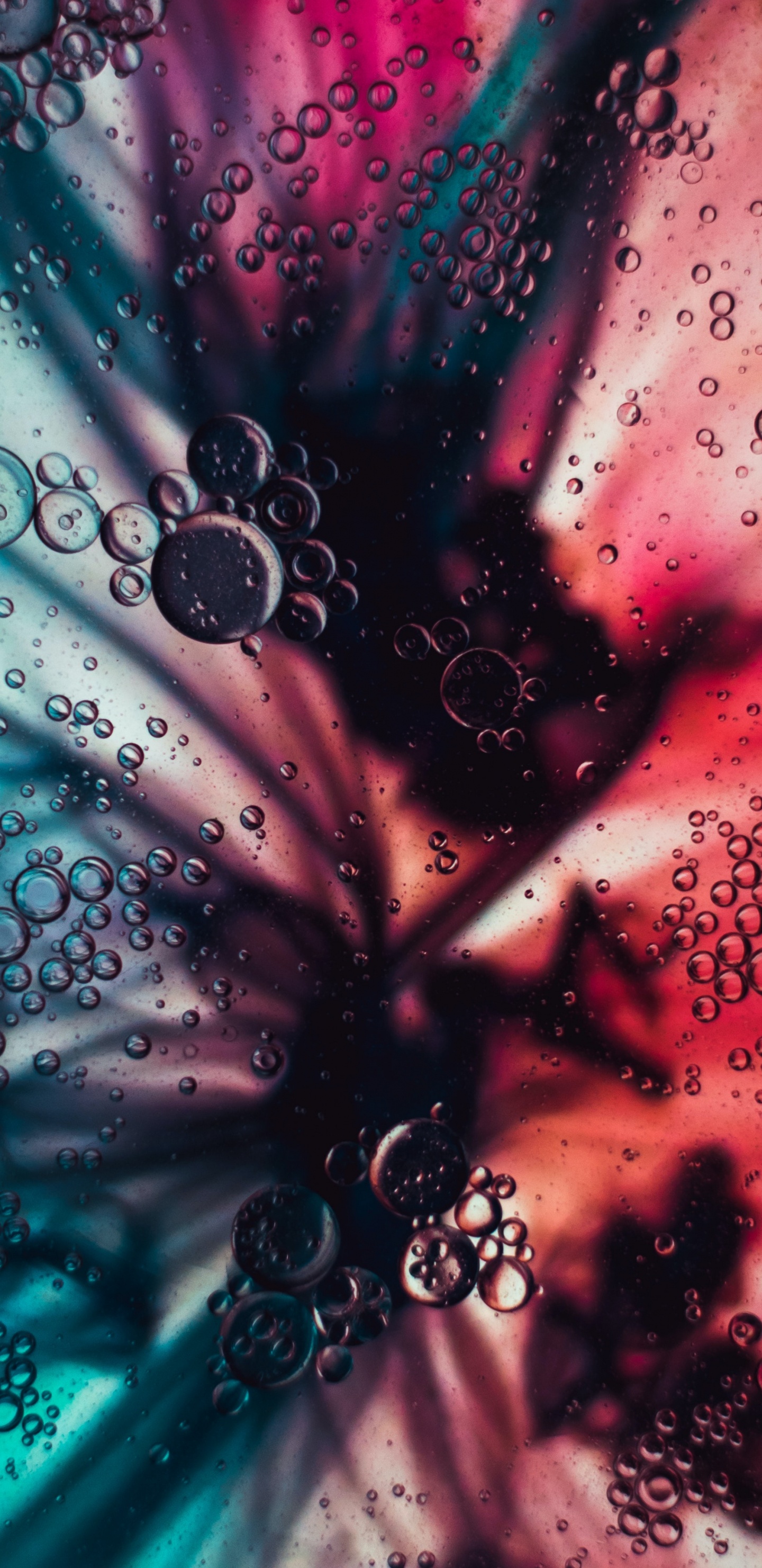 Water, Bubble, Liquid, Sparkling Water, Purple. Wallpaper in 1440x2960 Resolution