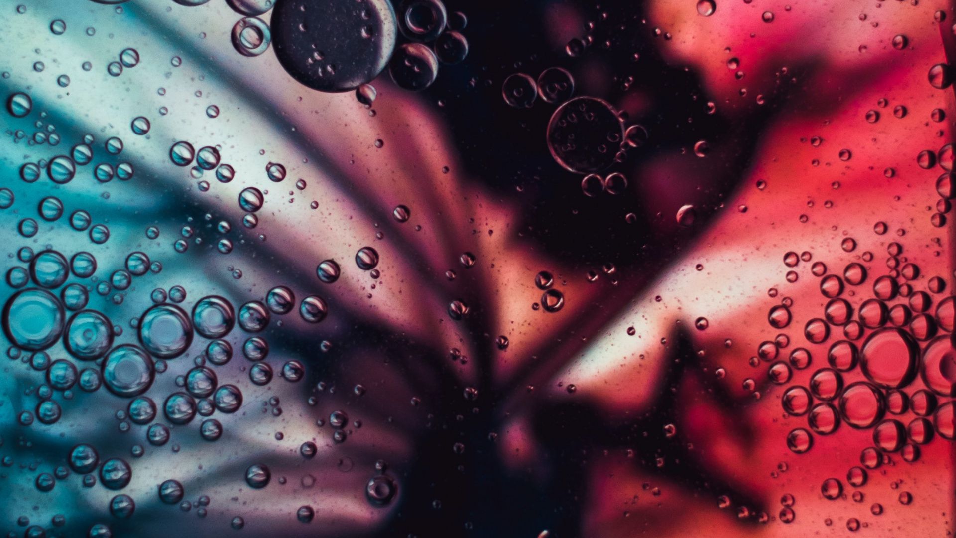 Colorful Bubbles, HD phone wallpaper | Peakpx
