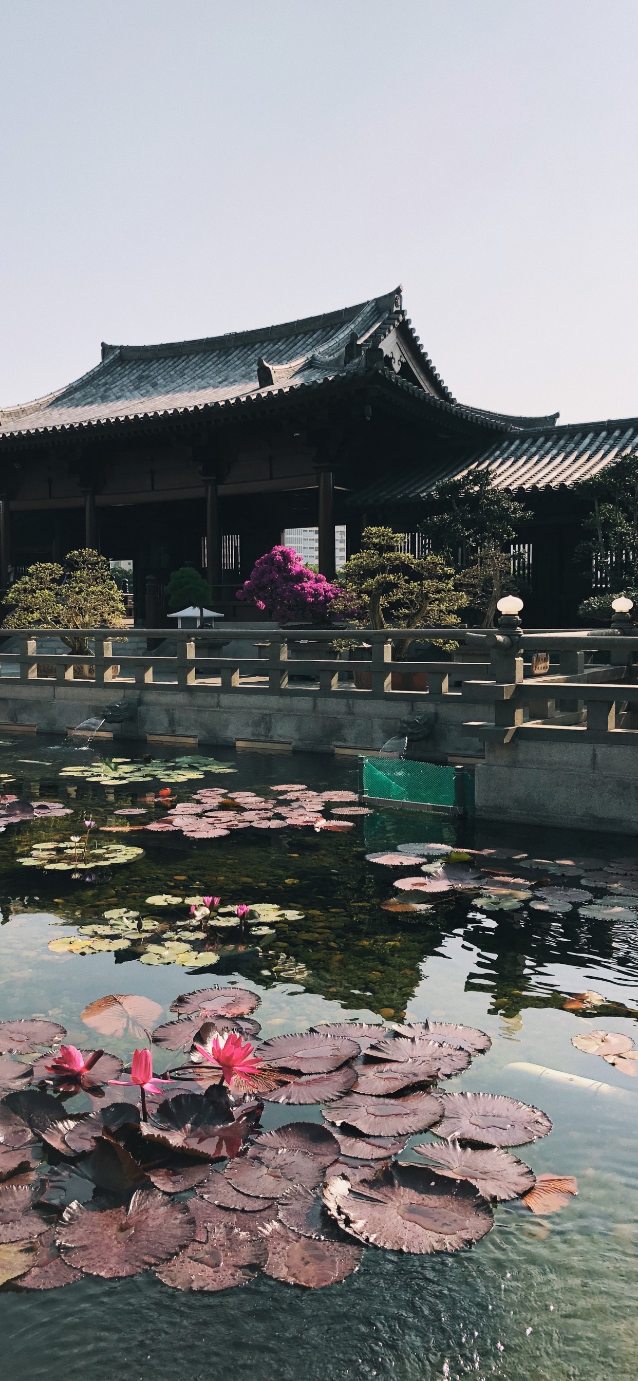 Reflection, Tourism, Water, Tourist Attraction, Body of Water. Wallpaper in 1242x2688 Resolution