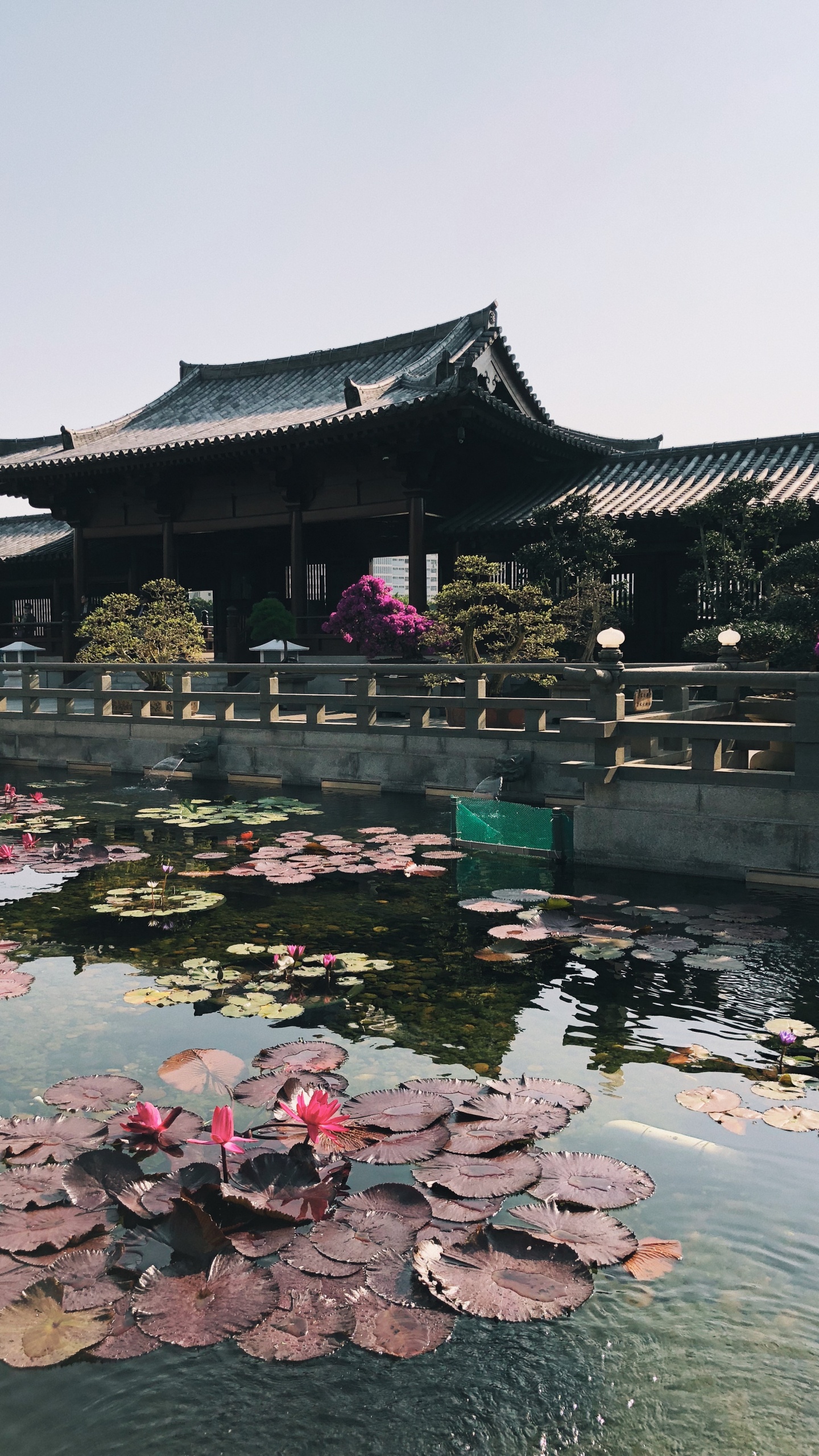 Reflection, Tourism, Water, Tourist Attraction, Body of Water. Wallpaper in 1440x2560 Resolution